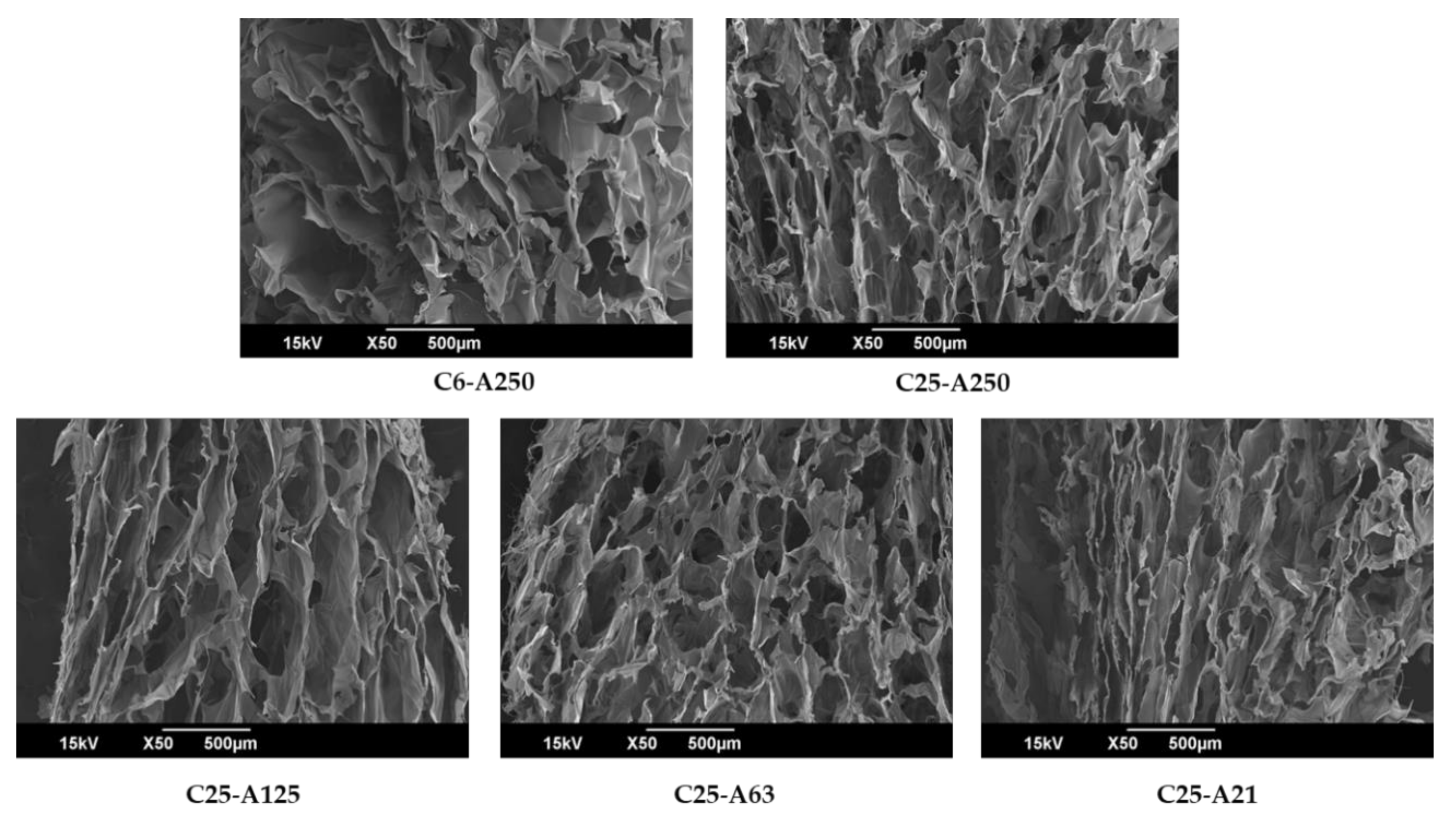 Marinedrugs 19 00085 g003