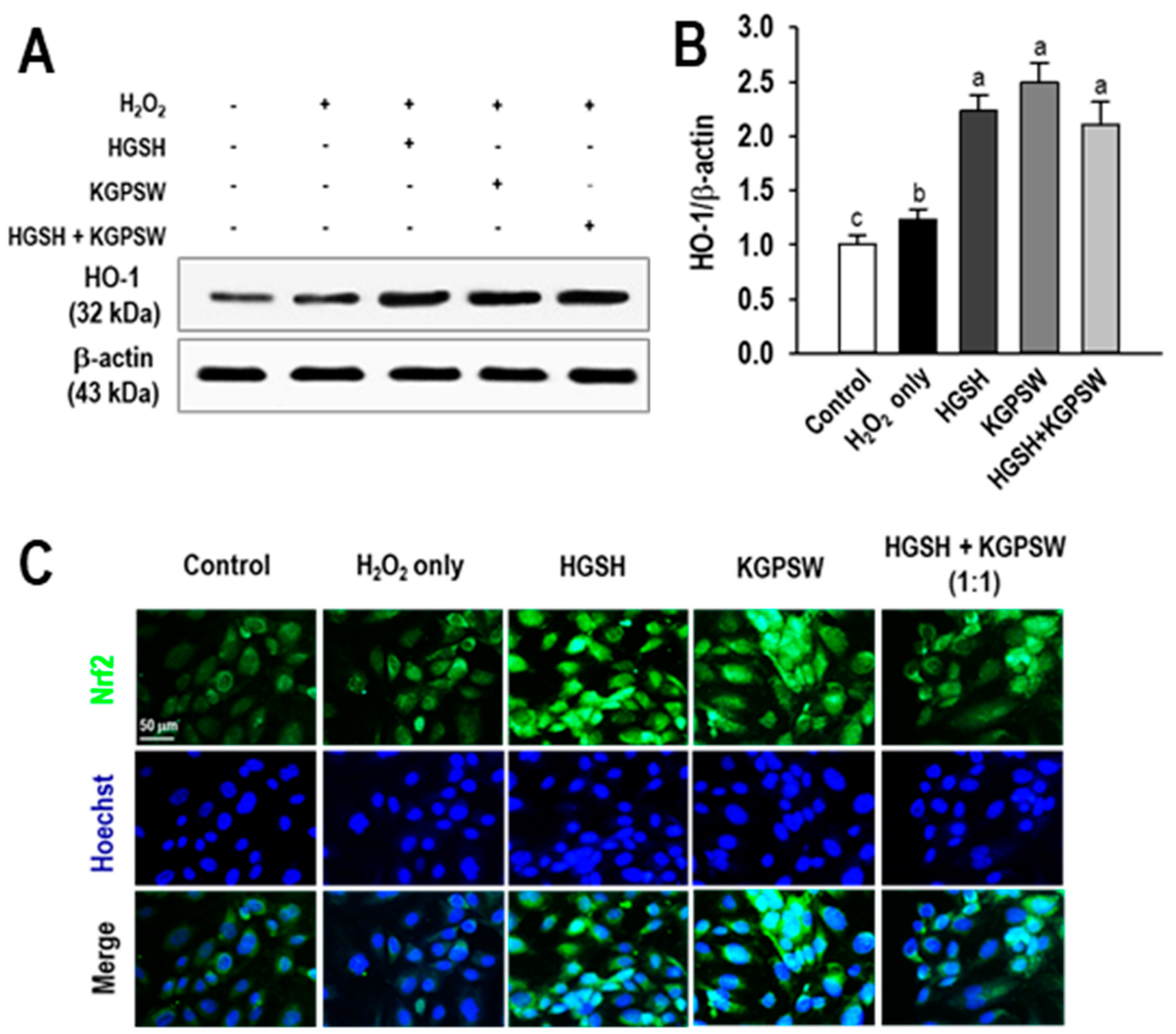 Marinedrugs 19 00086 g004