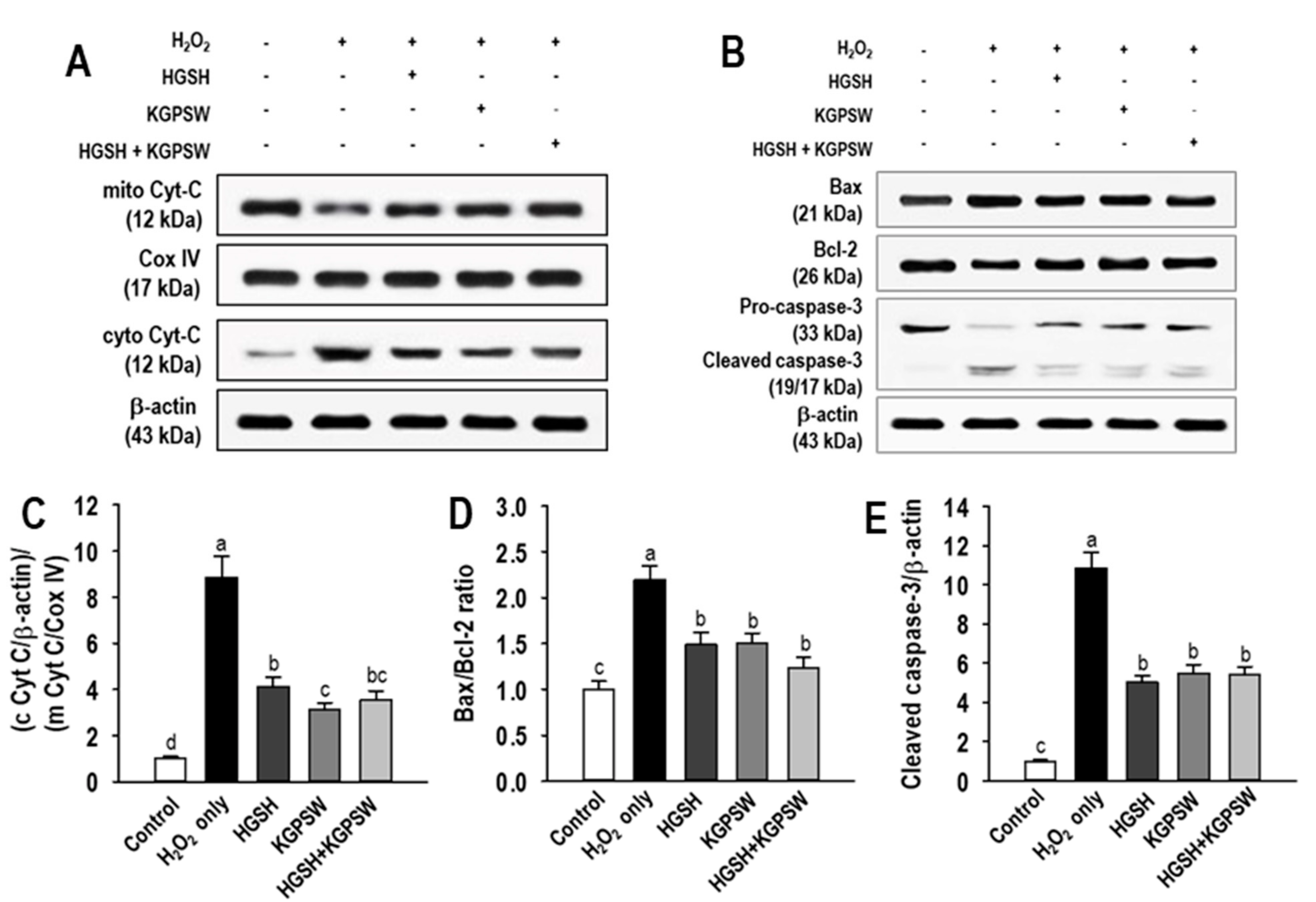 Marinedrugs 19 00086 g006