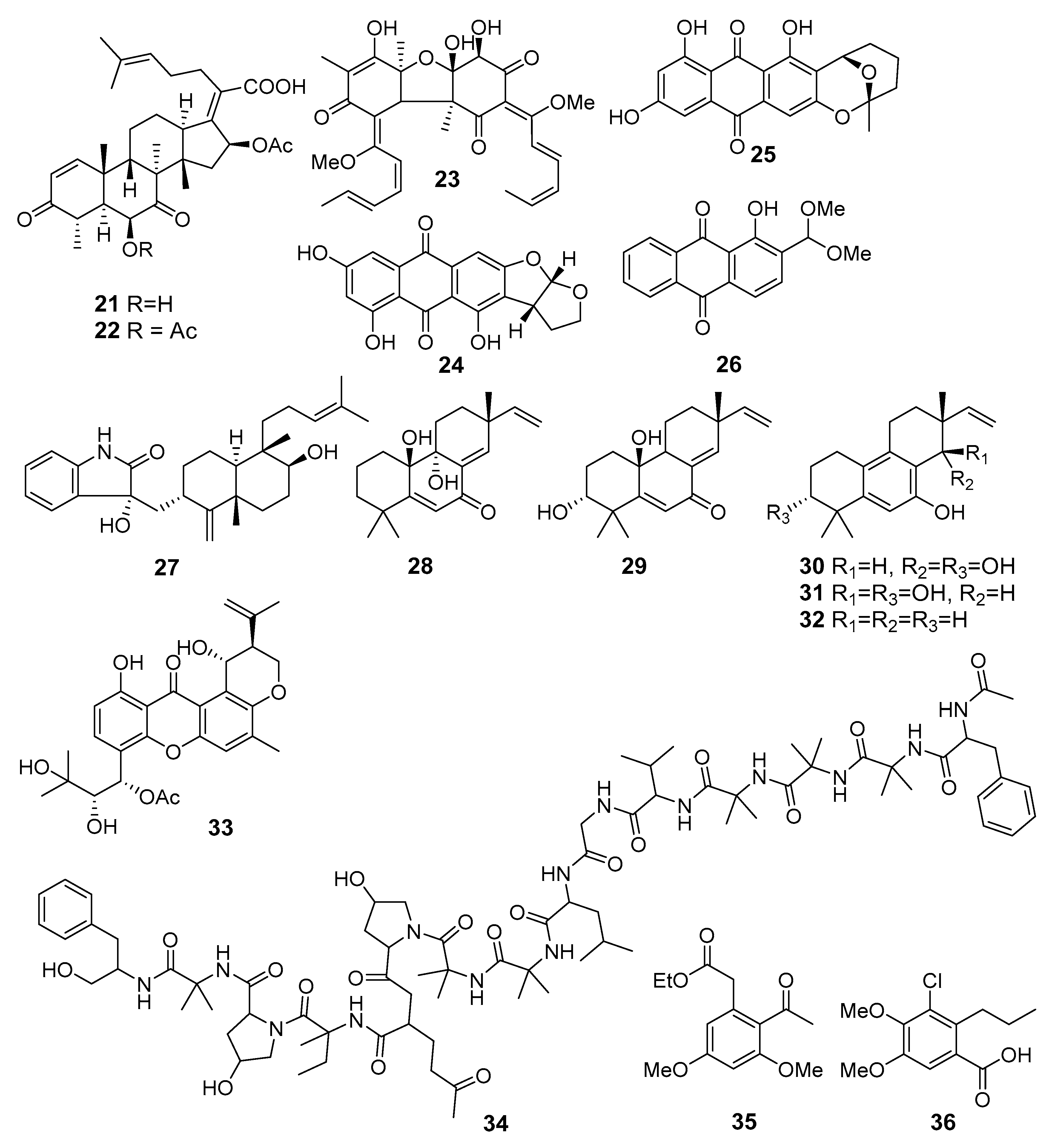 Marinedrugs 19 00088 g003 Marinedrugs 19 00088 g003