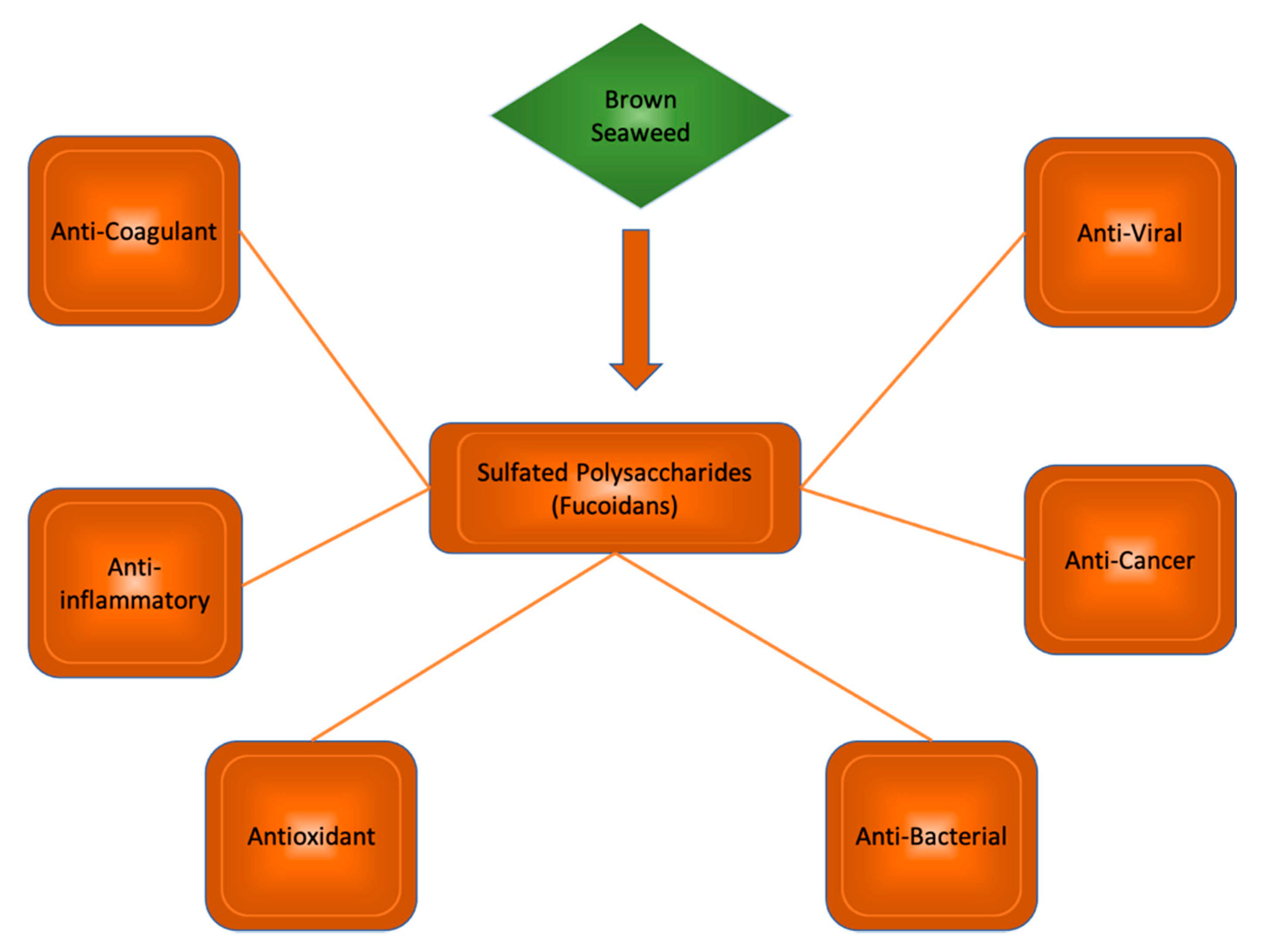 Marinedrugs 19 00089 g003