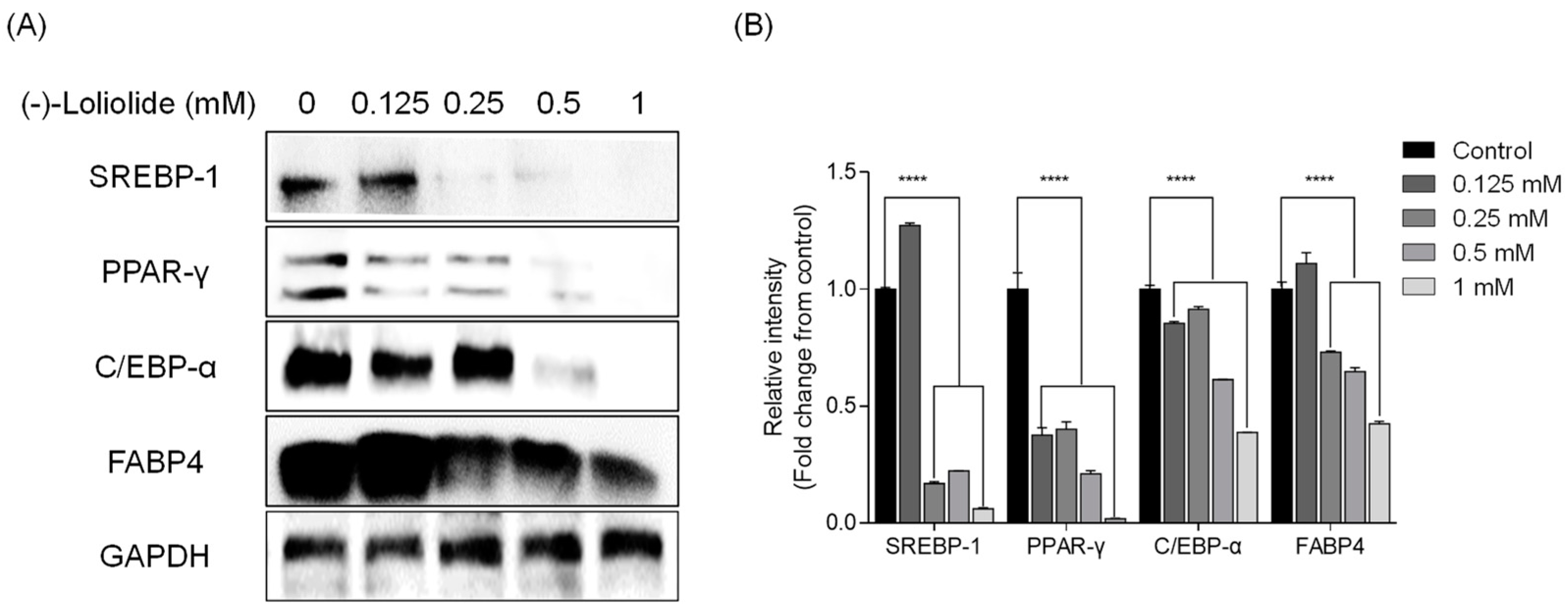 Marinedrugs 19 00096 g002