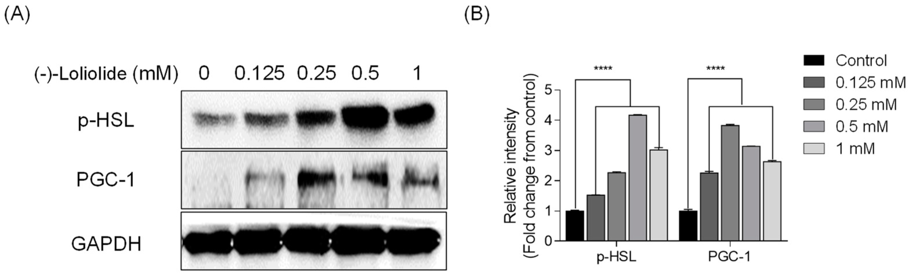 Marinedrugs 19 00096 g003