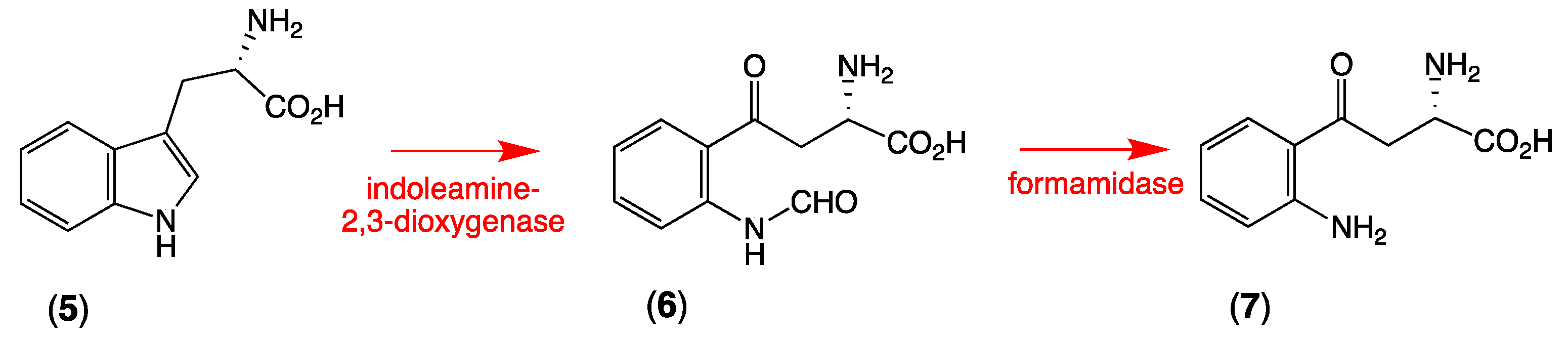Marinedrugs 19 00097 sch002