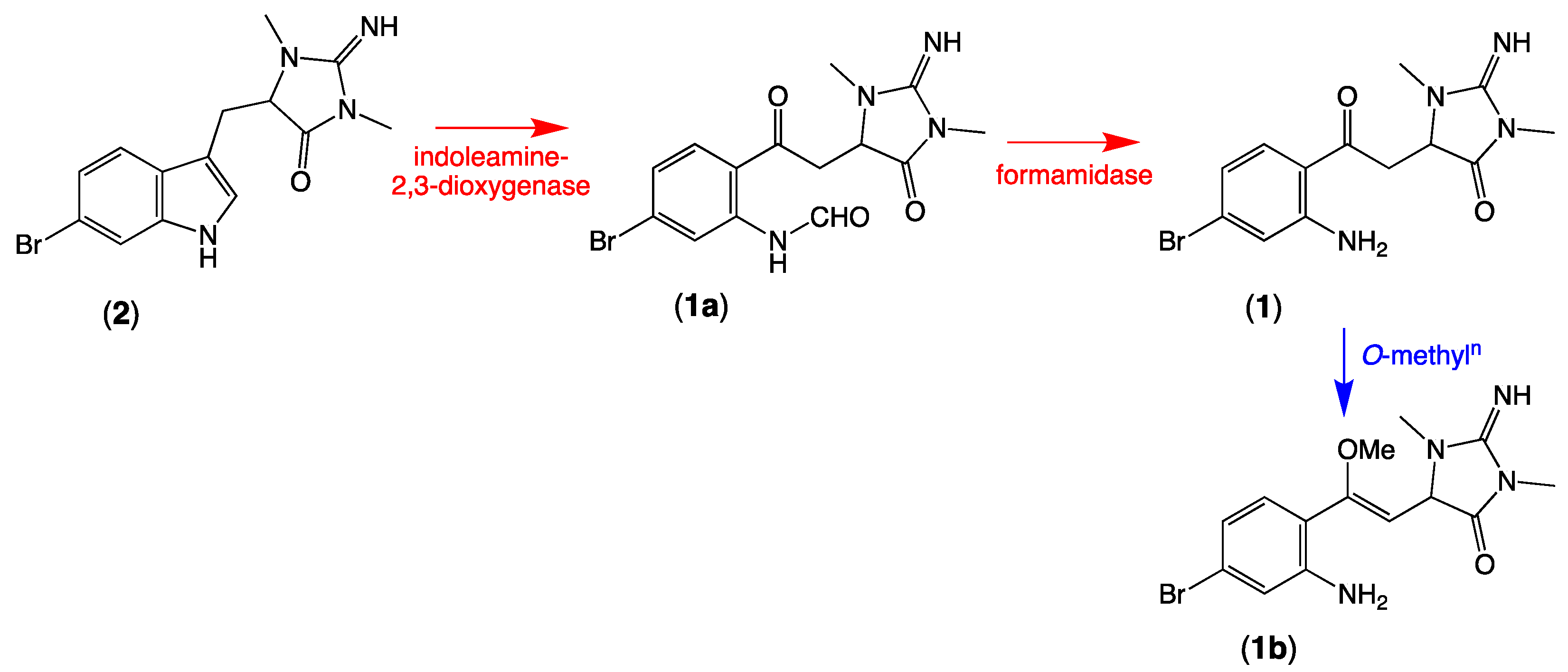 Marinedrugs 19 00097 sch003