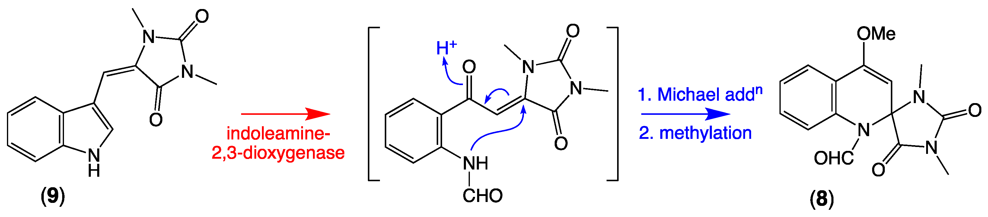 Marinedrugs 19 00097 sch004
