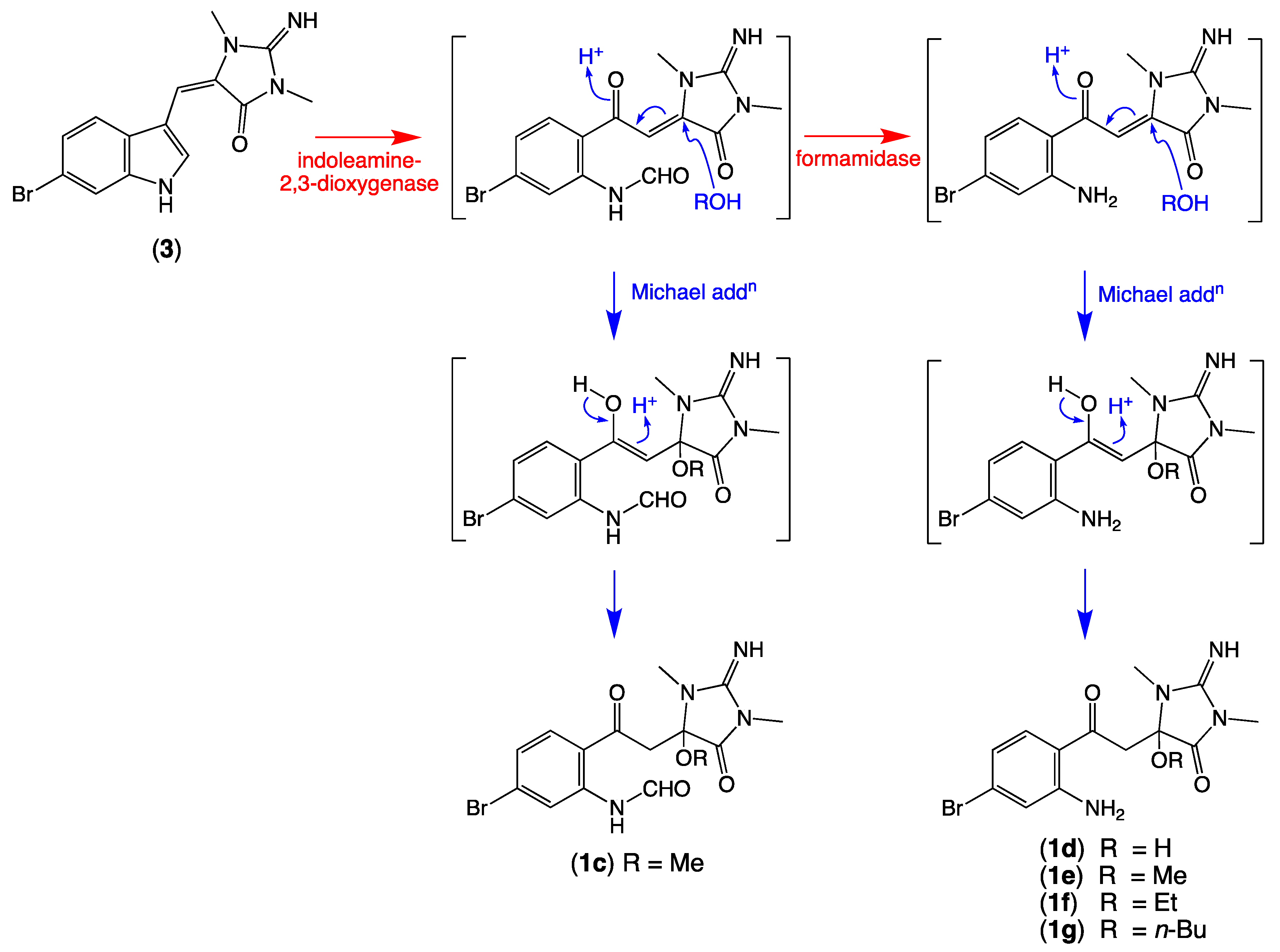 Marinedrugs 19 00097 sch005