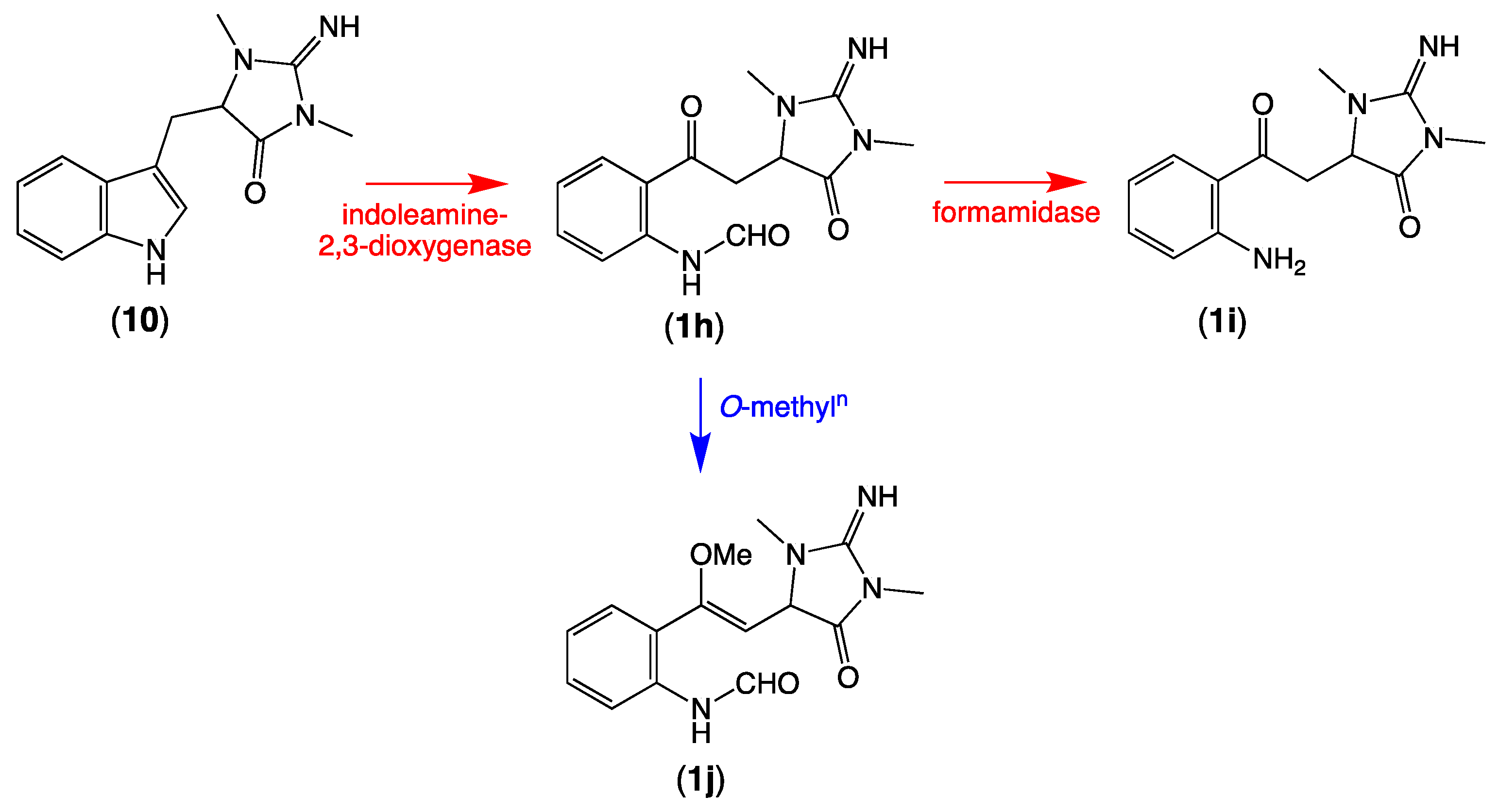 Marinedrugs 19 00097 sch006