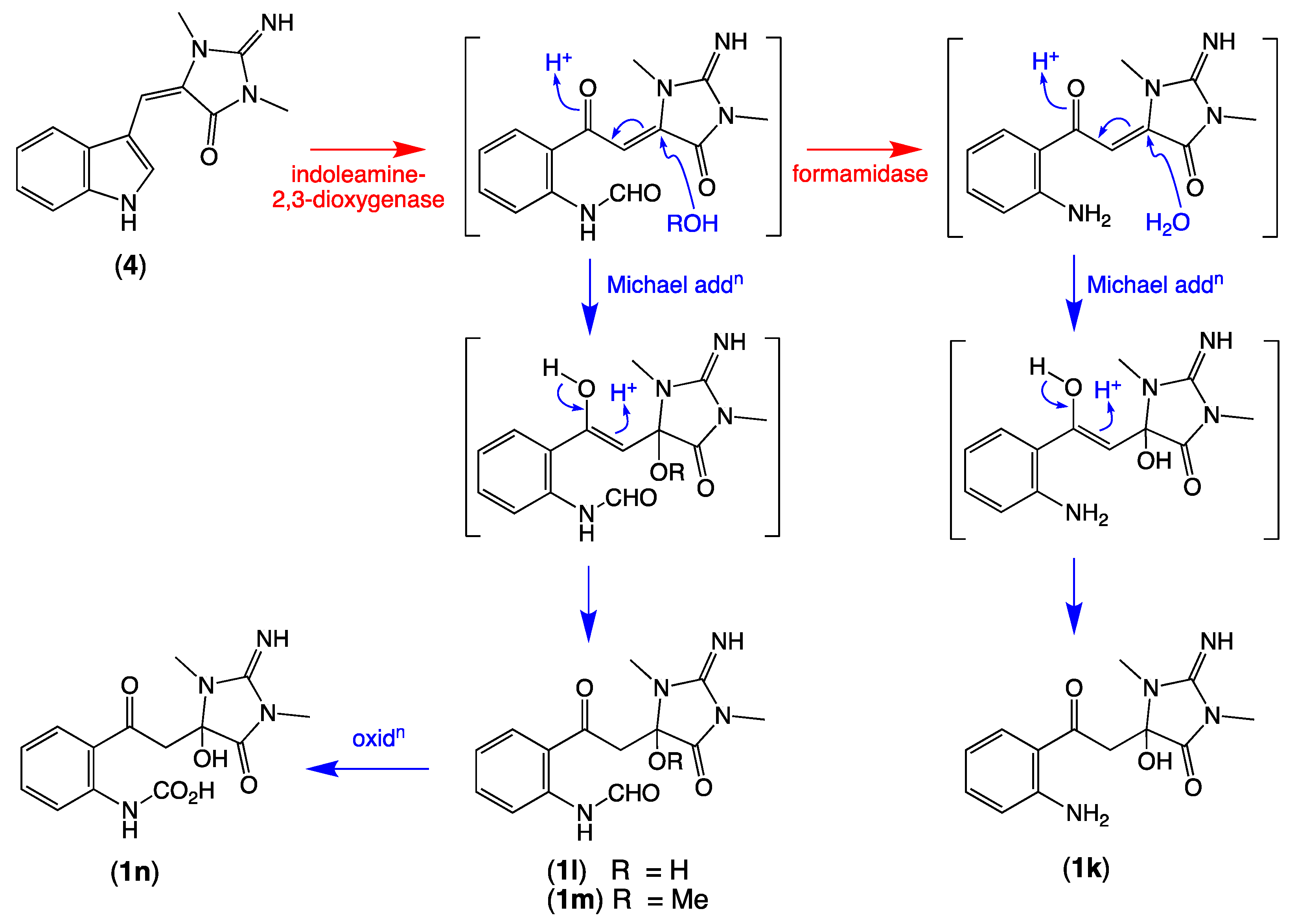 Marinedrugs 19 00097 sch007