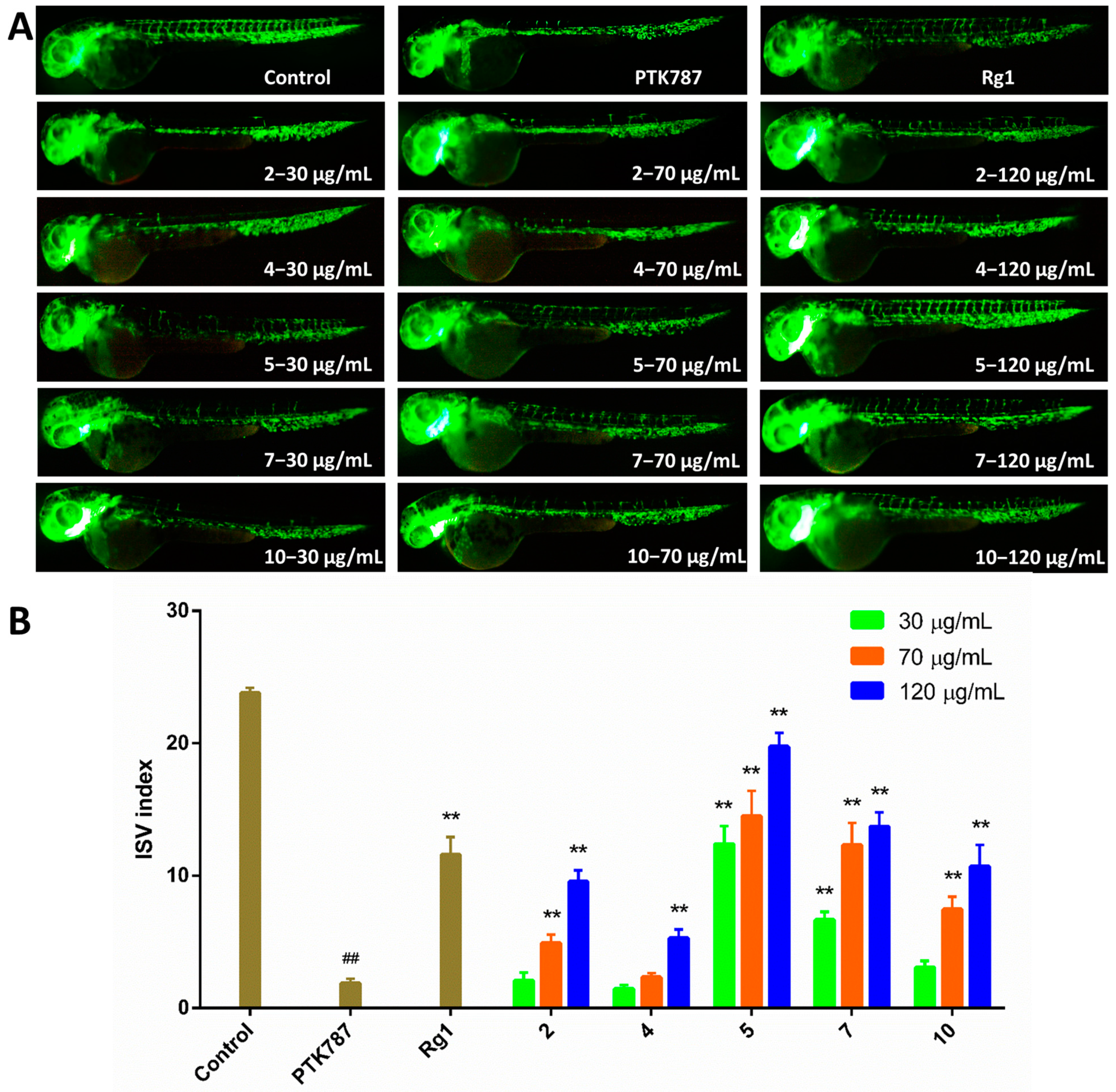 Marinedrugs 19 00098 g004 Marinedrugs 19 00098 g004