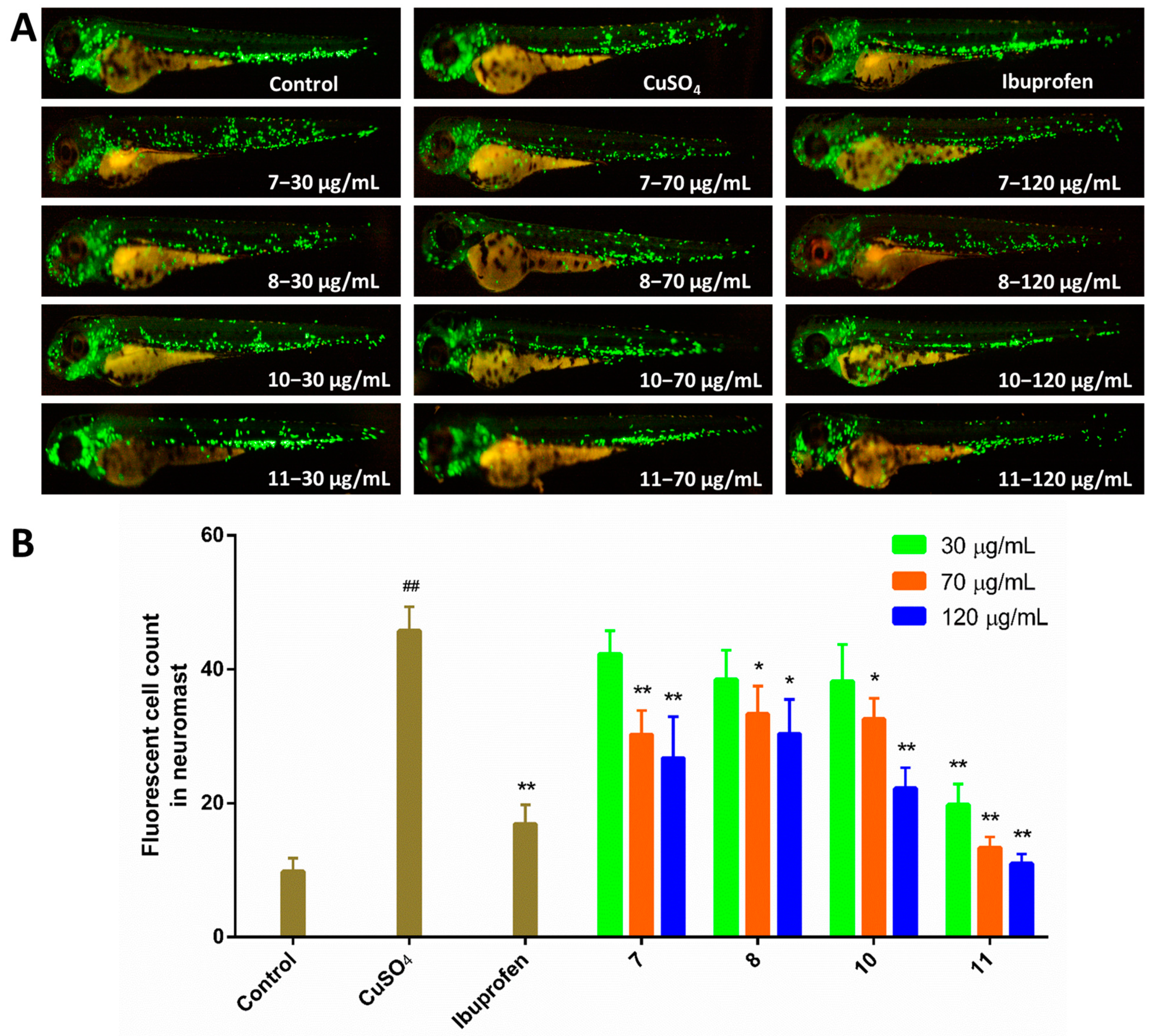 Marinedrugs 19 00098 g005 Marinedrugs 19 00098 g005