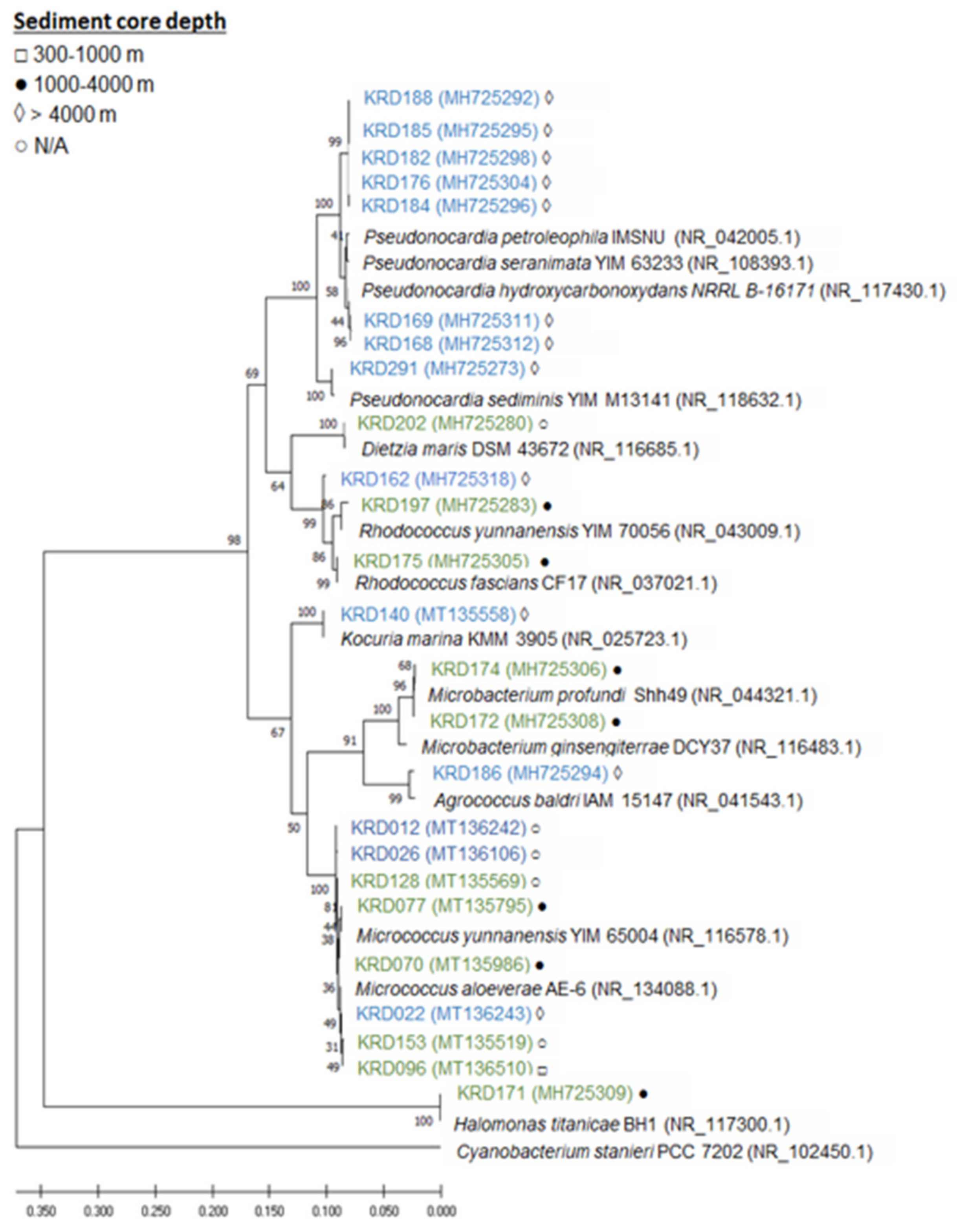 Marinedrugs 19 00103 g001