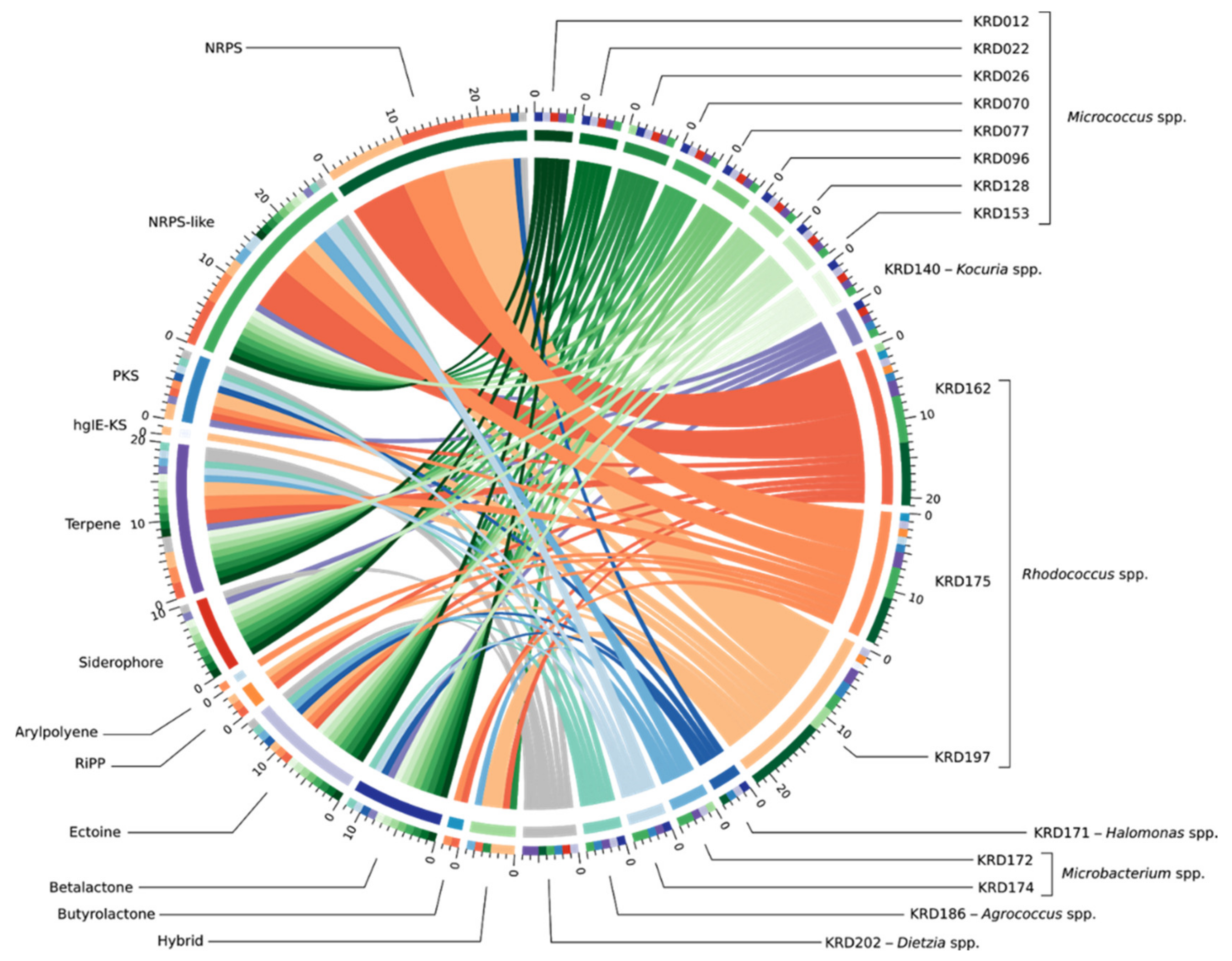 Marinedrugs 19 00103 g002