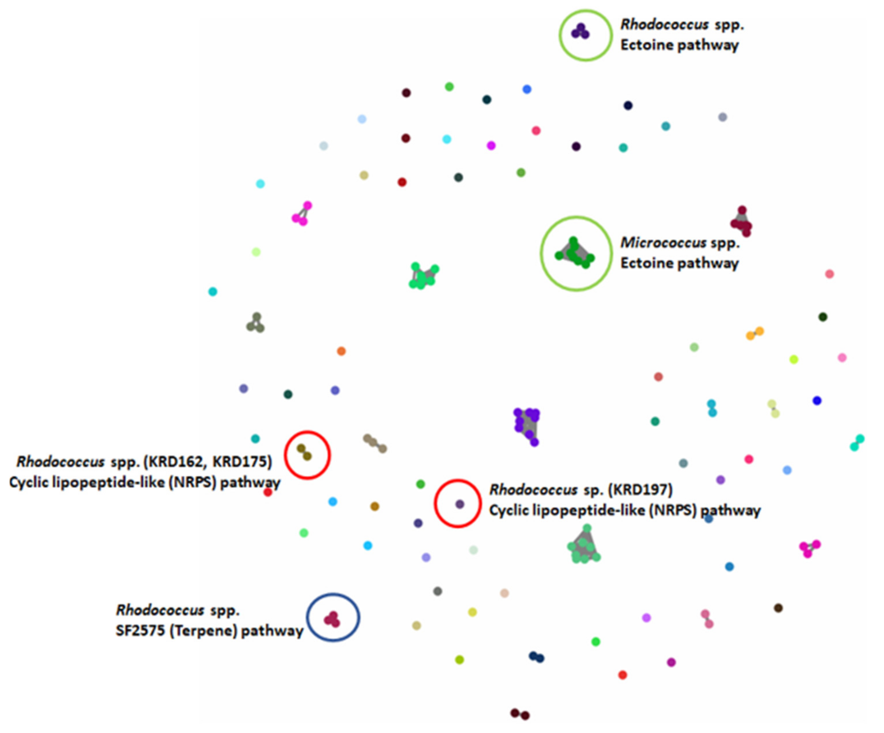 Marinedrugs 19 00103 g003