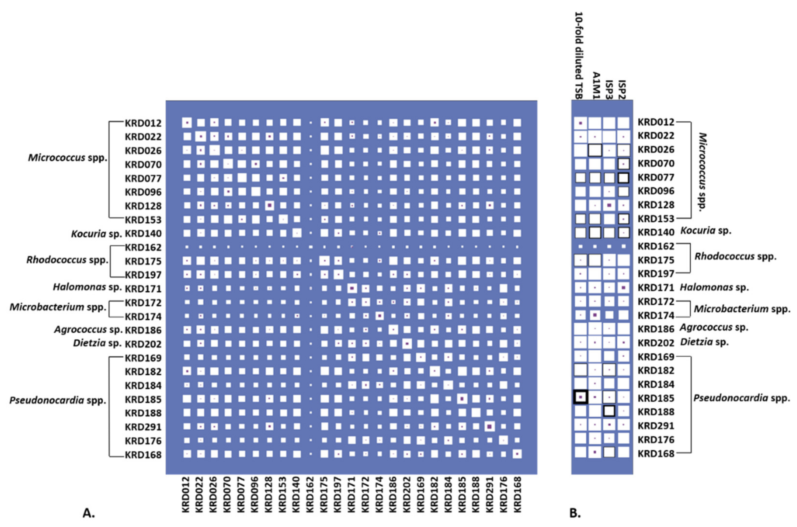 Marinedrugs 19 00103 g004