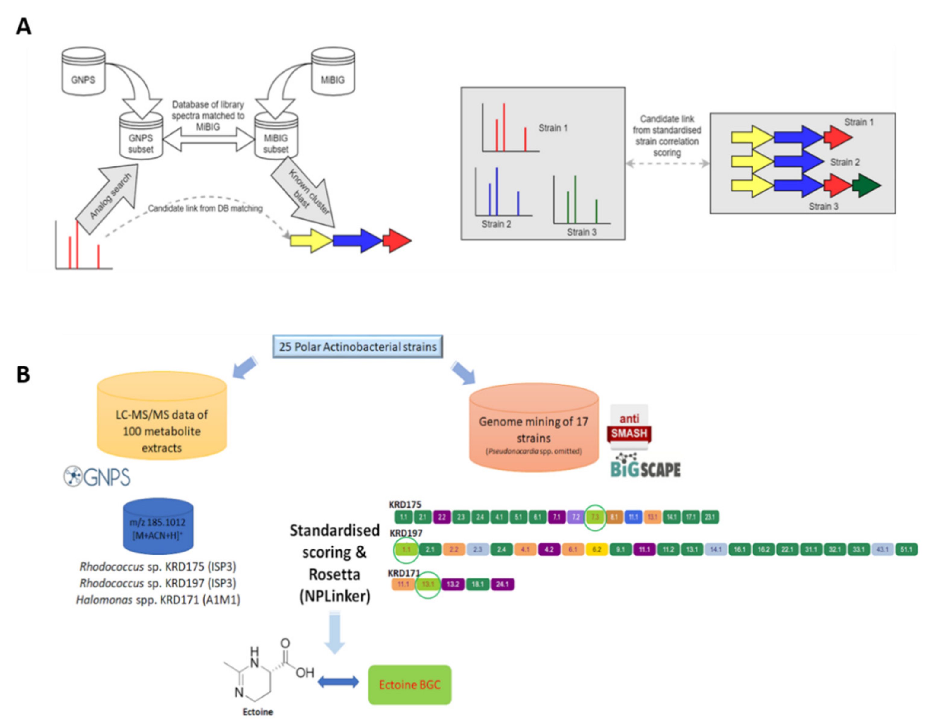 Marinedrugs 19 00103 g006