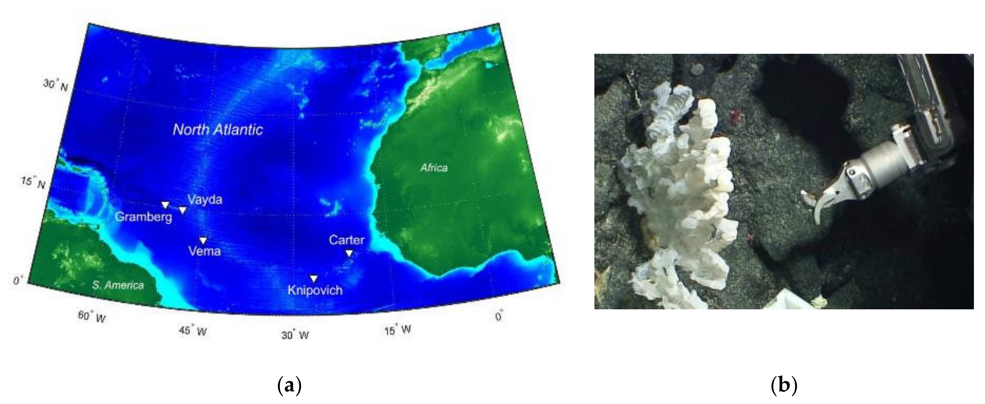 Marinedrugs 19 00105 g001