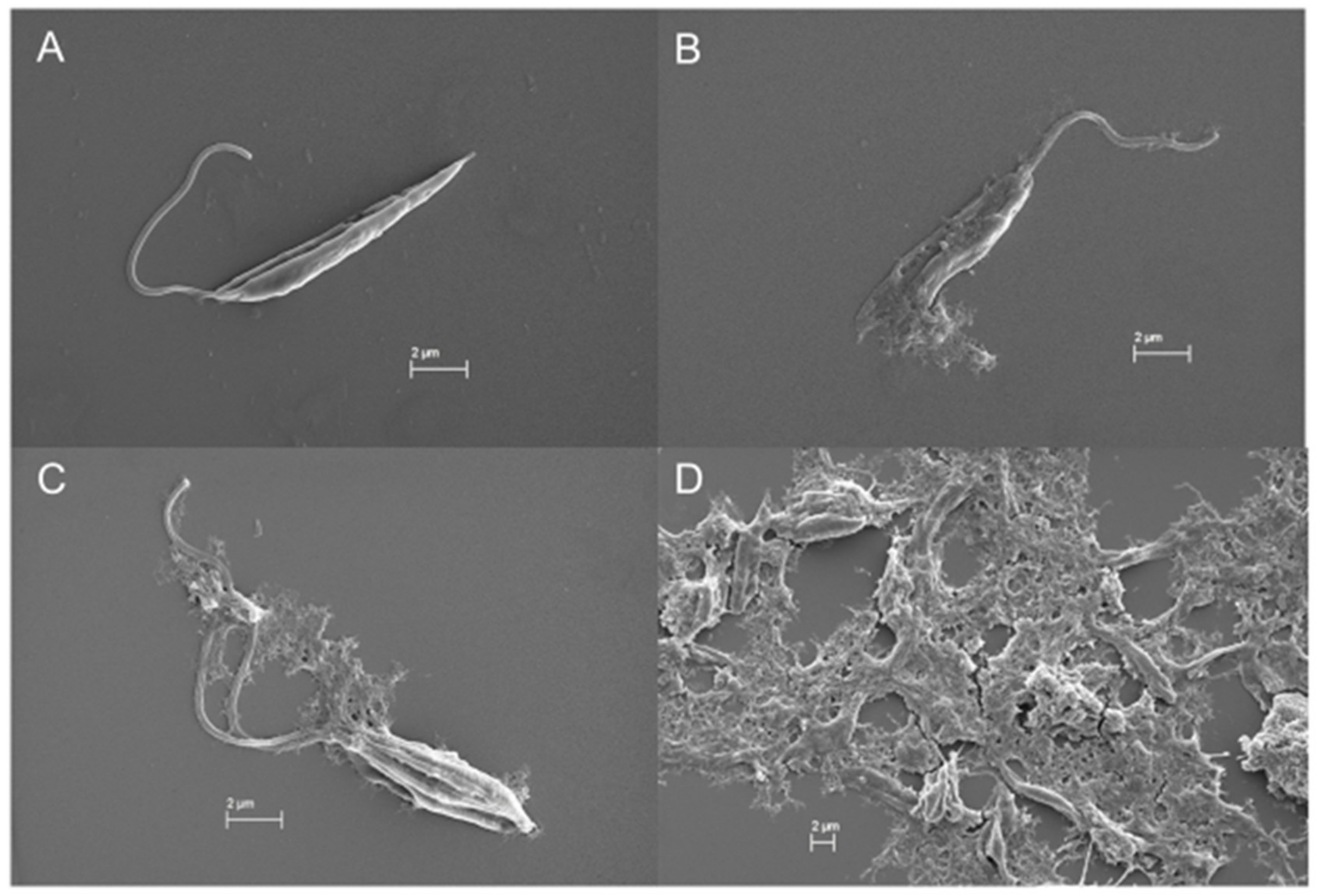 Marinedrugs 19 00110 g009