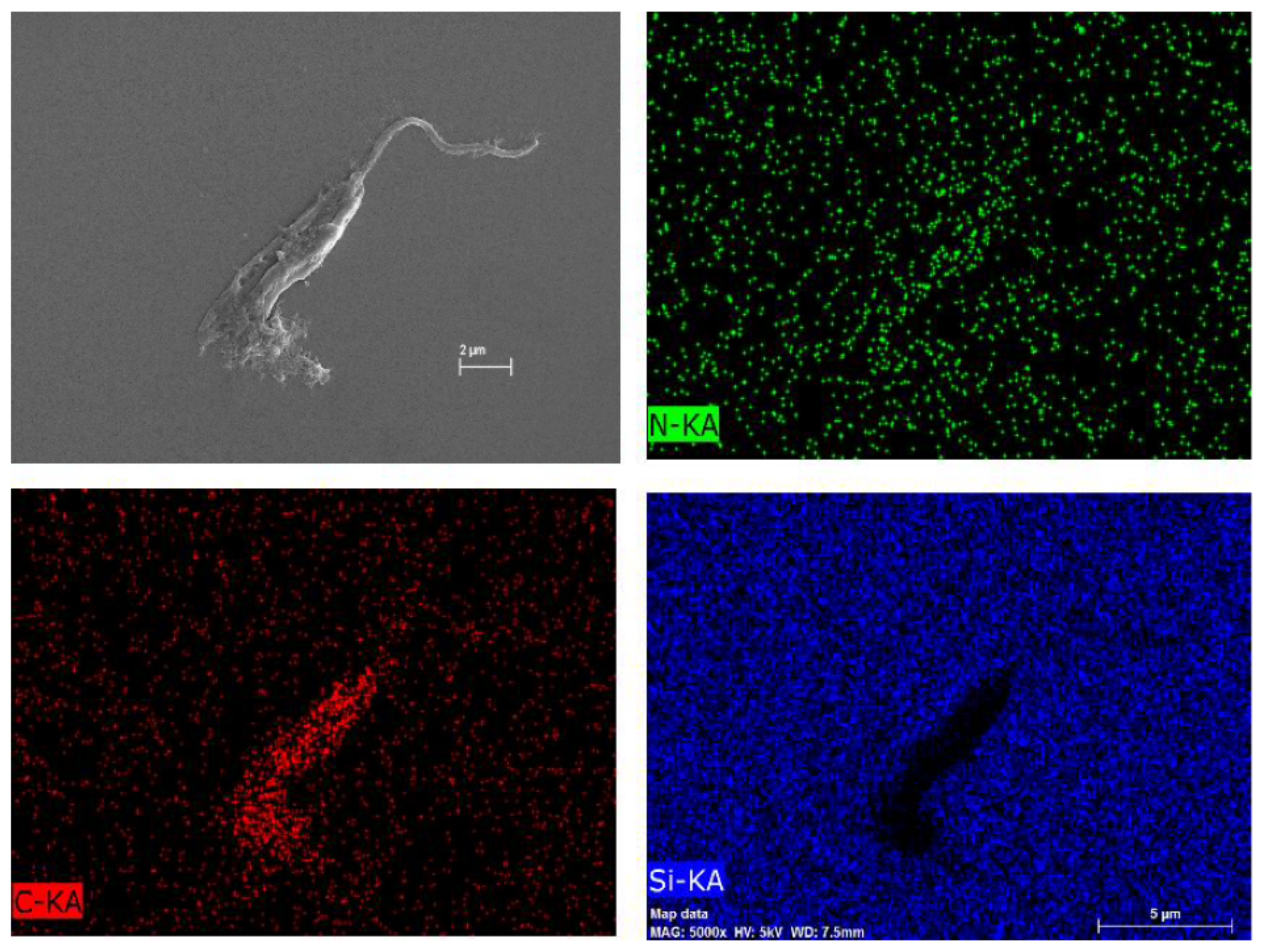 Marinedrugs 19 00110 g011