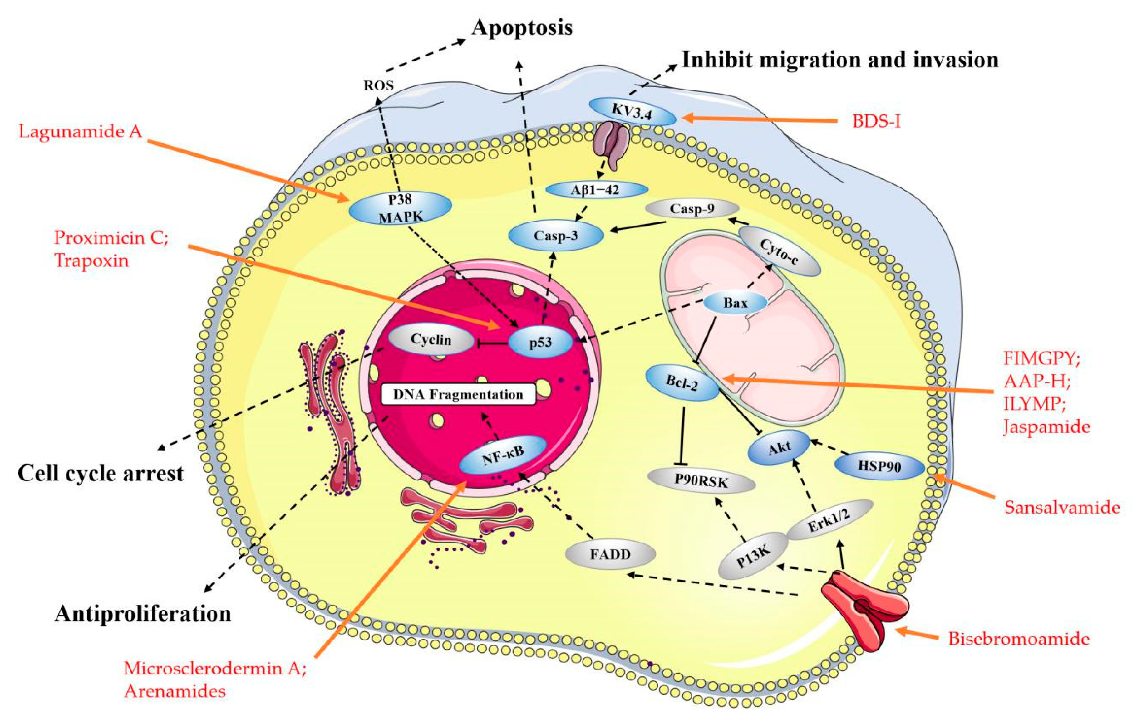 Marinedrugs 19 00115 g002