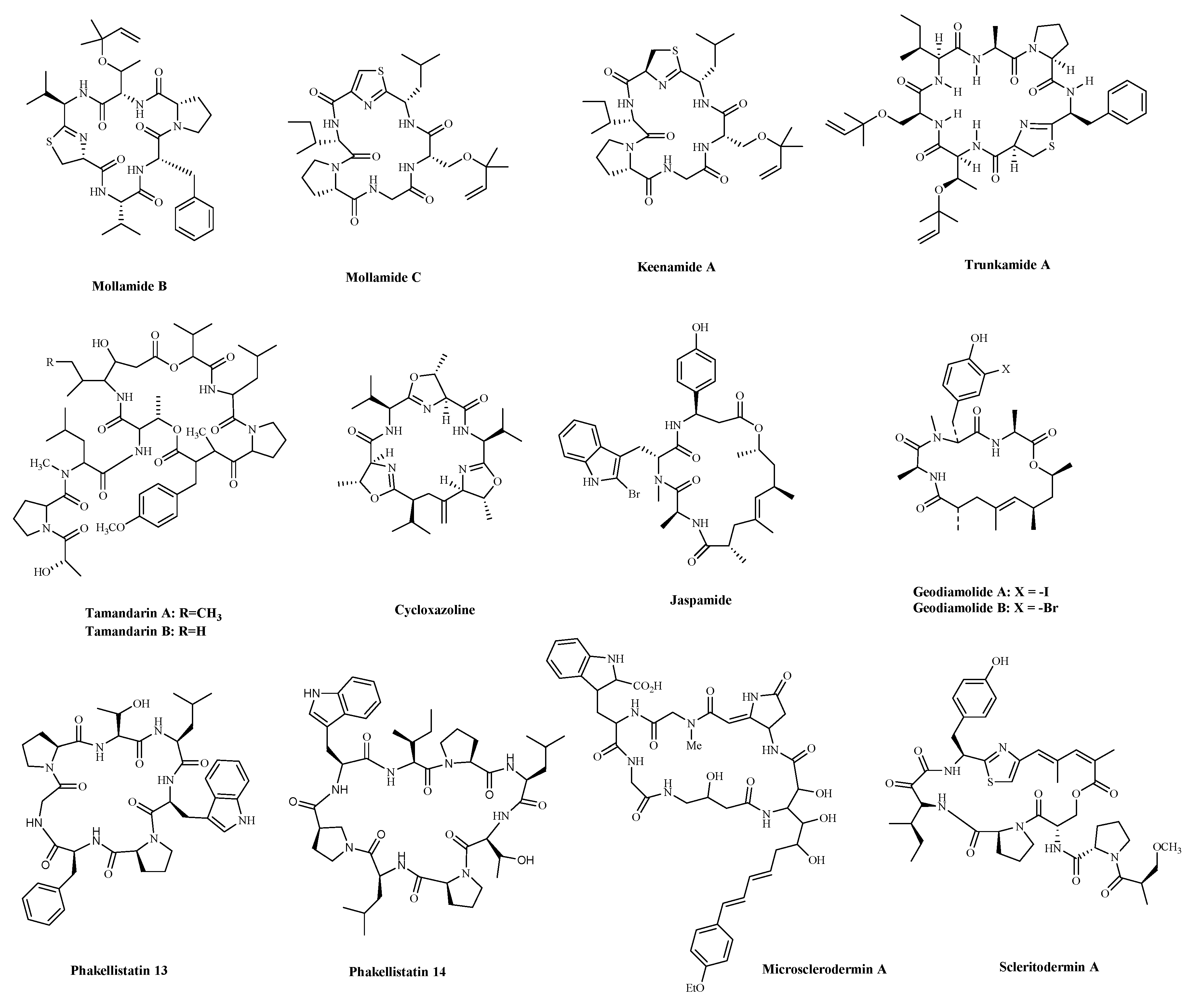Marinedrugs 19 00115 g004