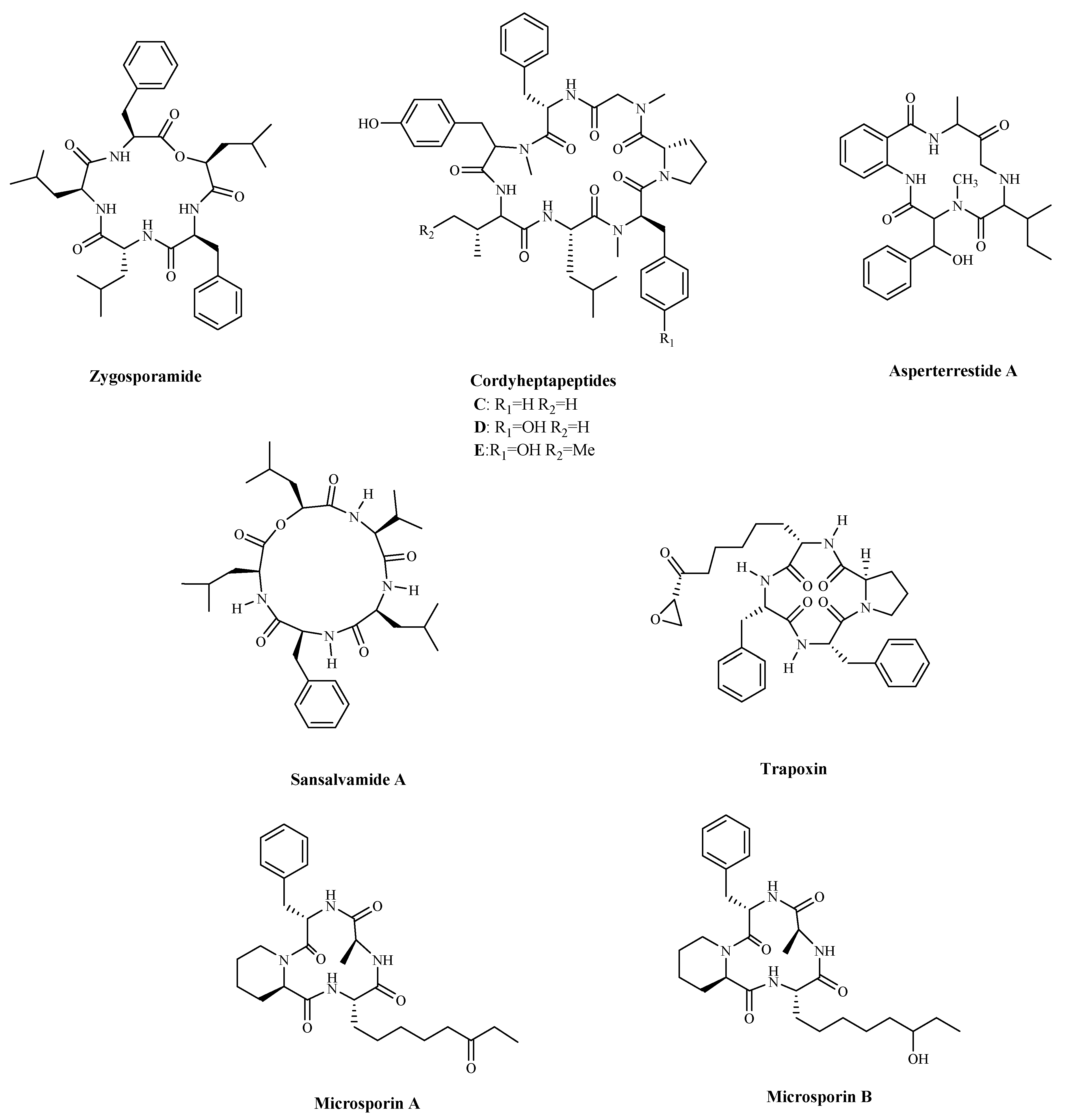 Marinedrugs 19 00115 g005