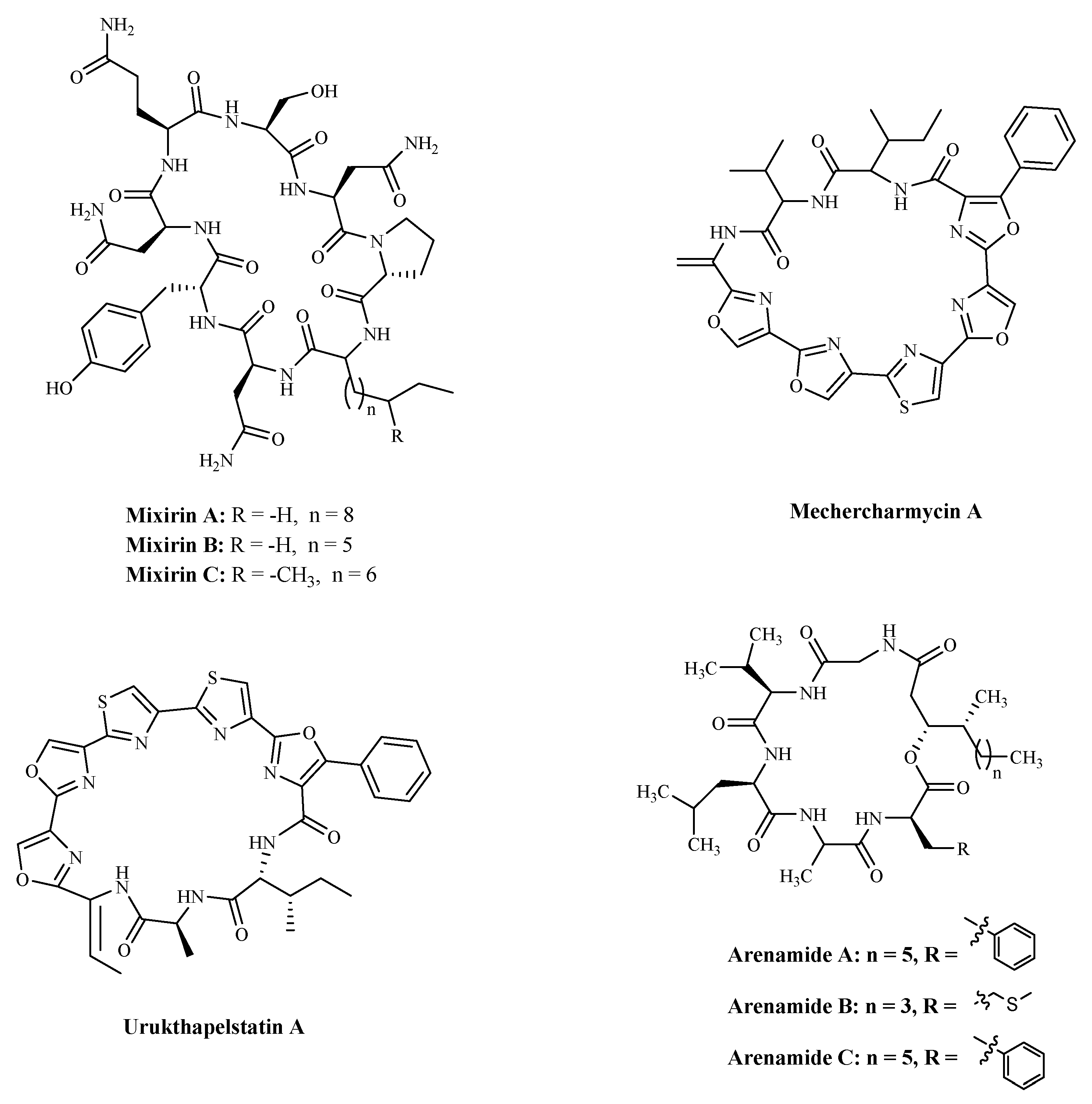 Marinedrugs 19 00115 g006