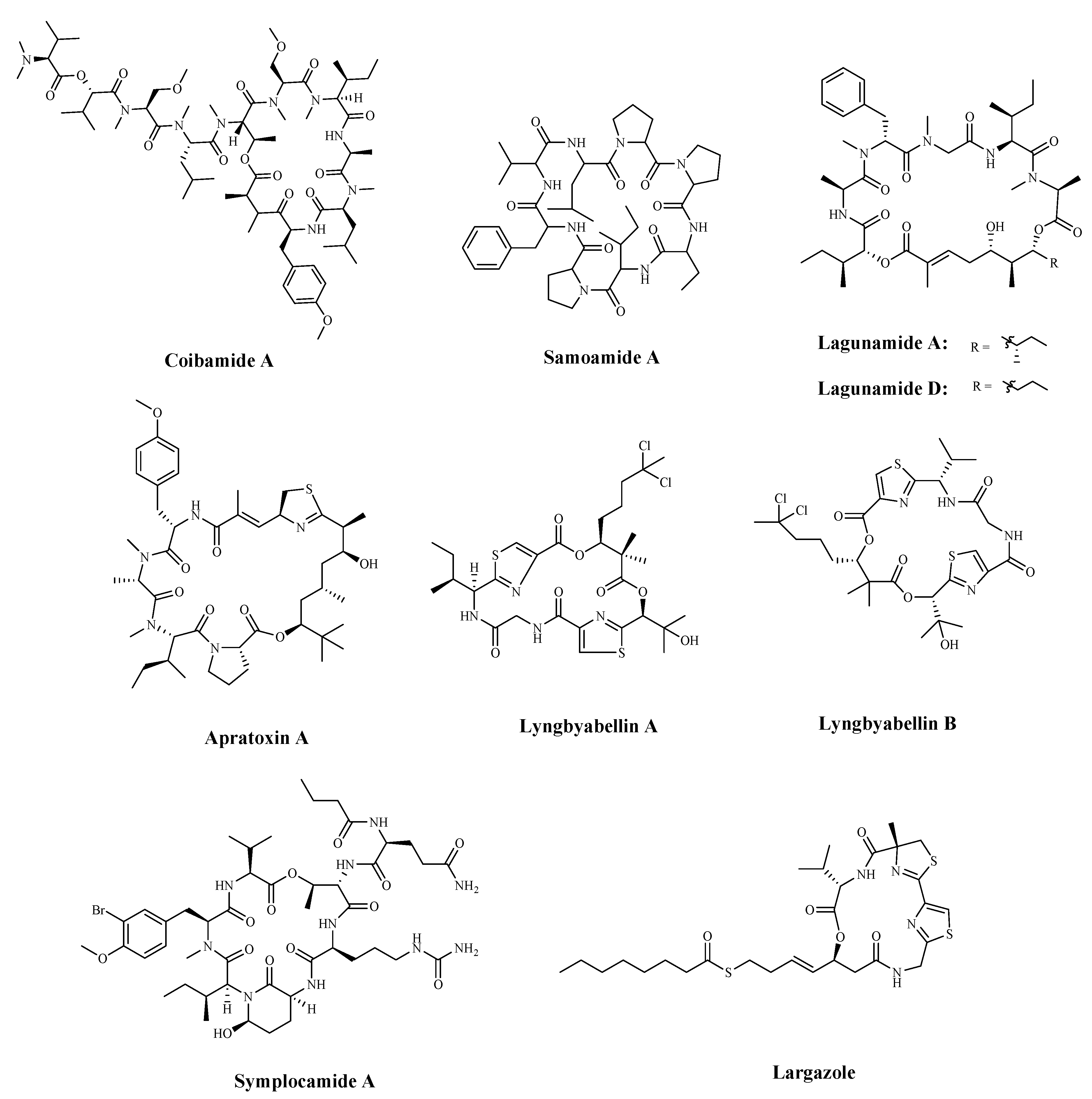 Marinedrugs 19 00115 g007