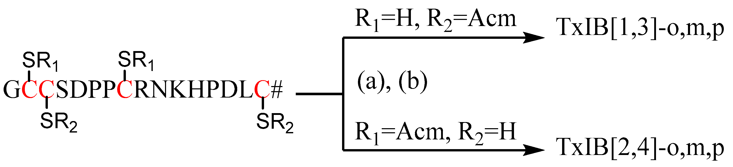 Marinedrugs 19 00119 g002