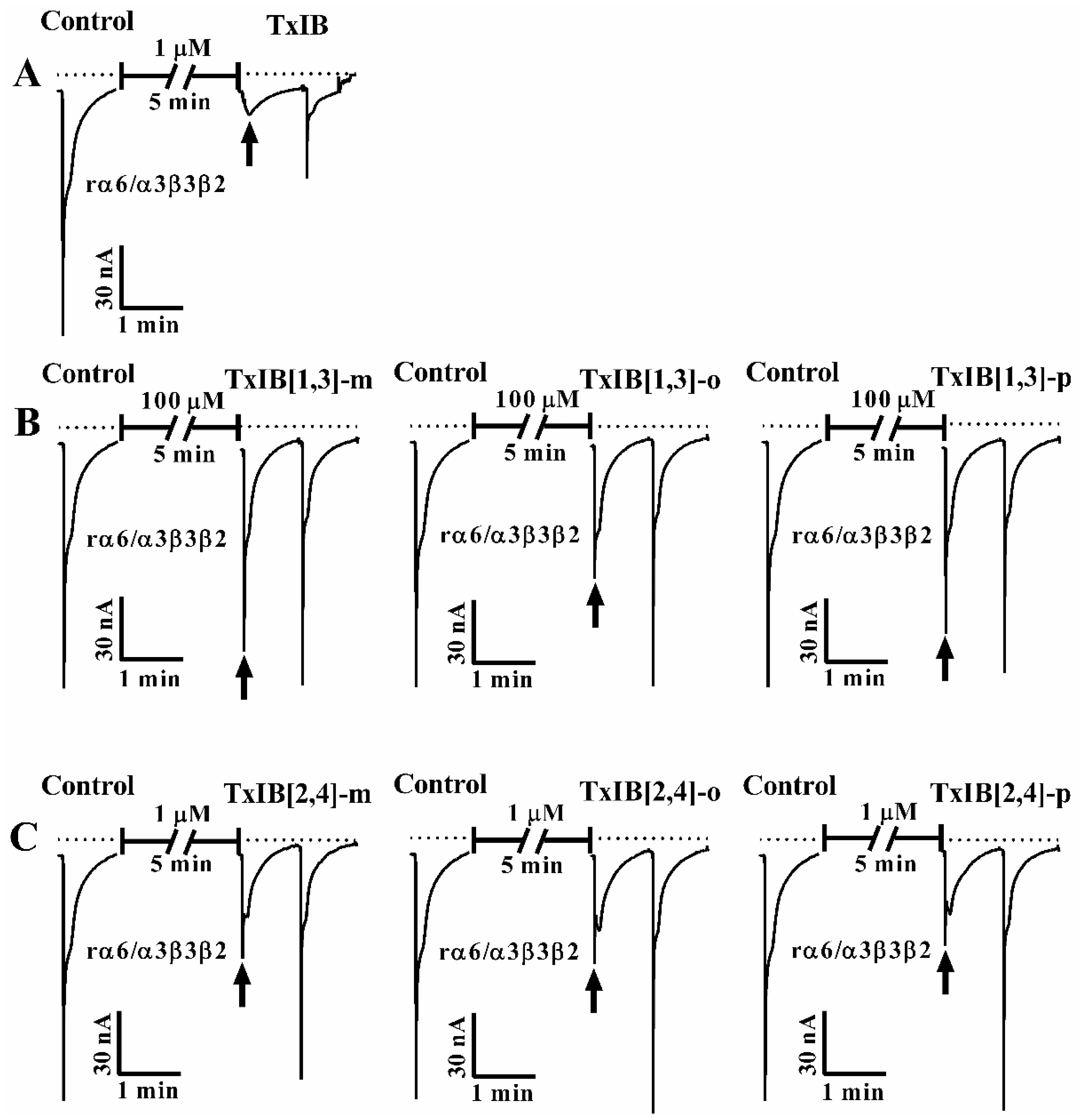 Marinedrugs 19 00119 g005