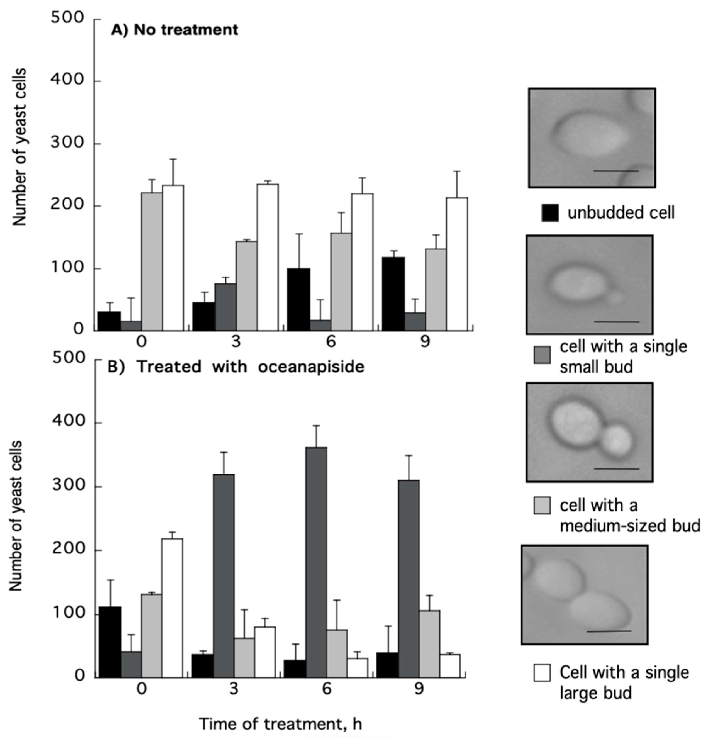 Marinedrugs 19 00126 g005