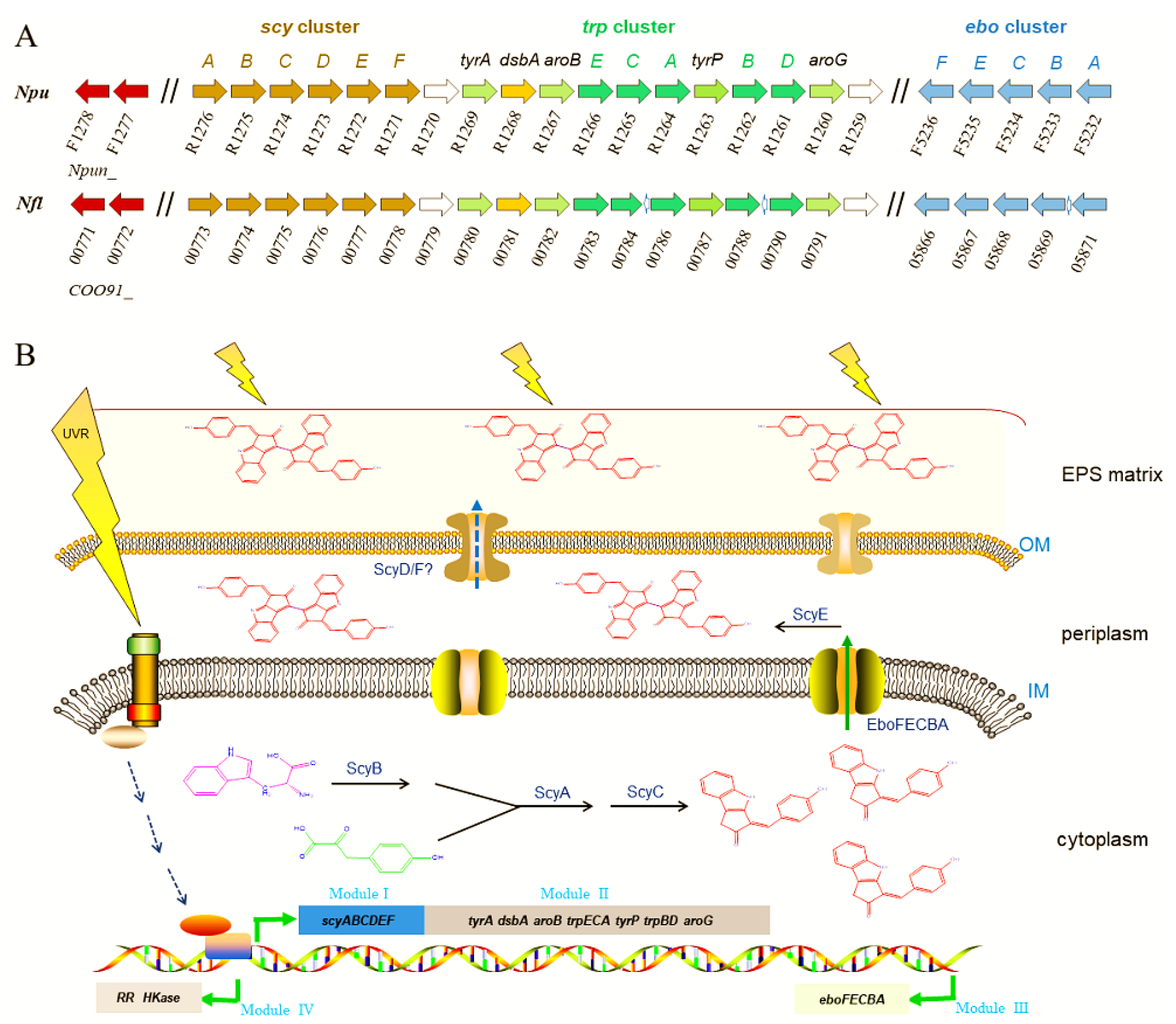 Marinedrugs 19 00129 g003
