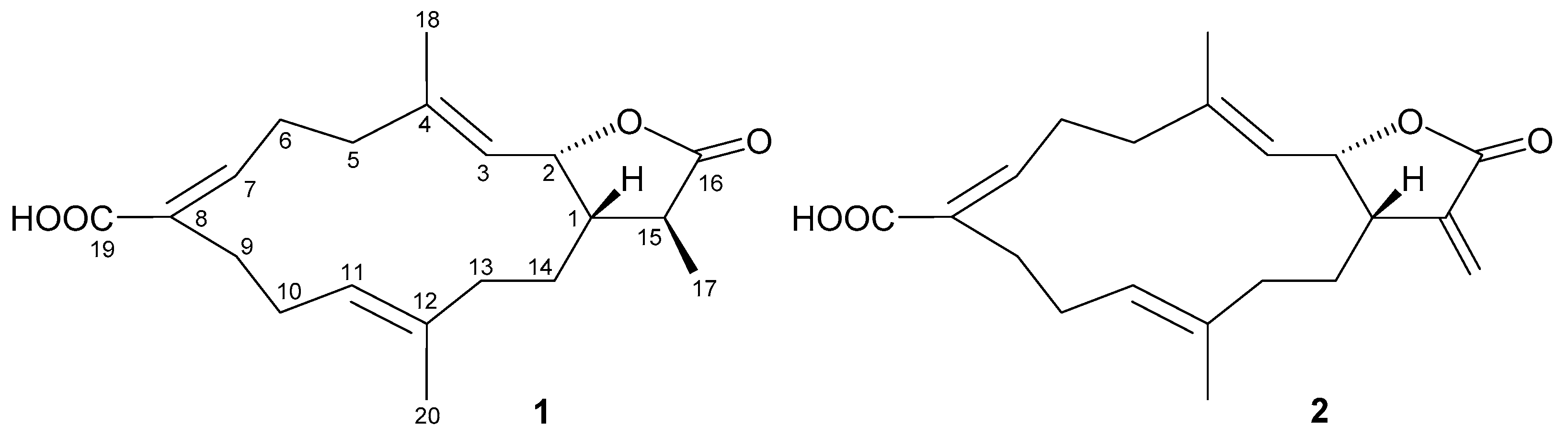 Marinedrugs 19 00130 g001