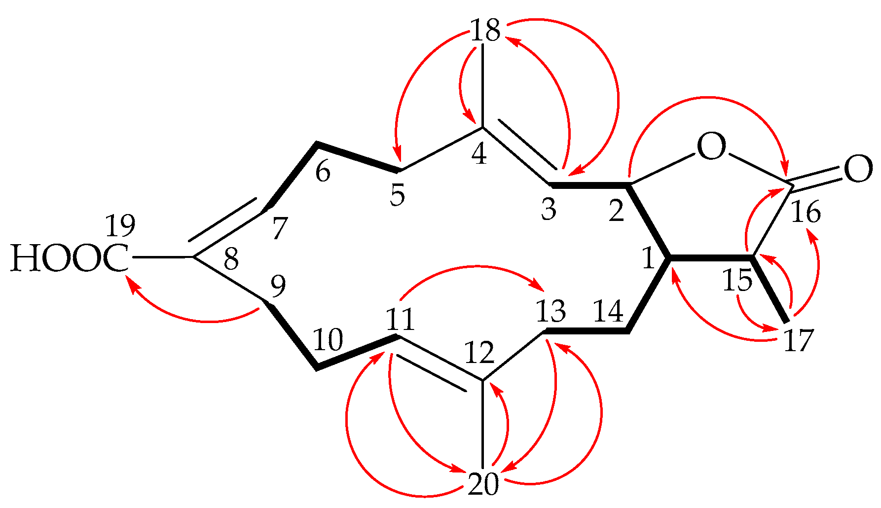Marinedrugs 19 00130 g002
