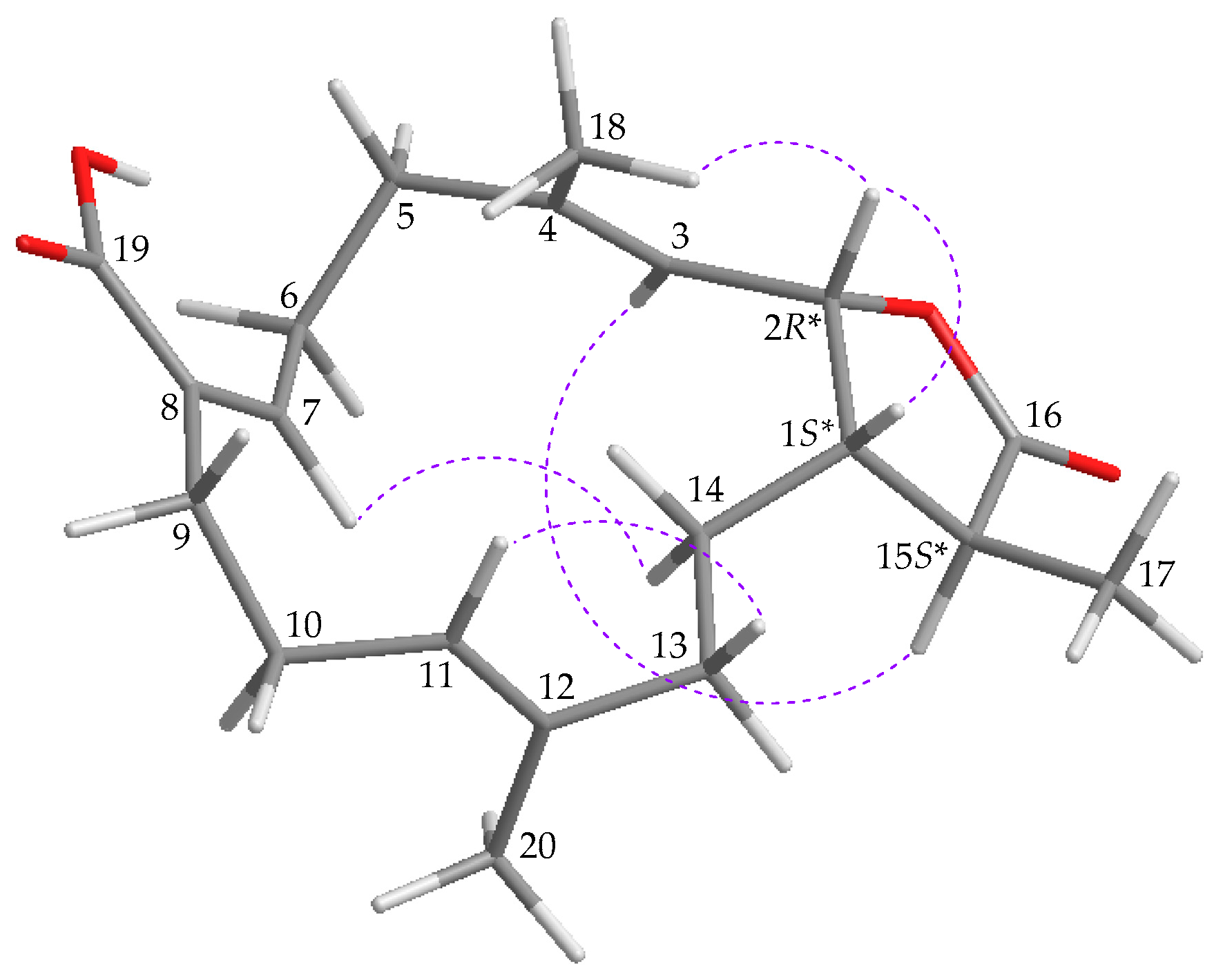 Marinedrugs 19 00130 g003