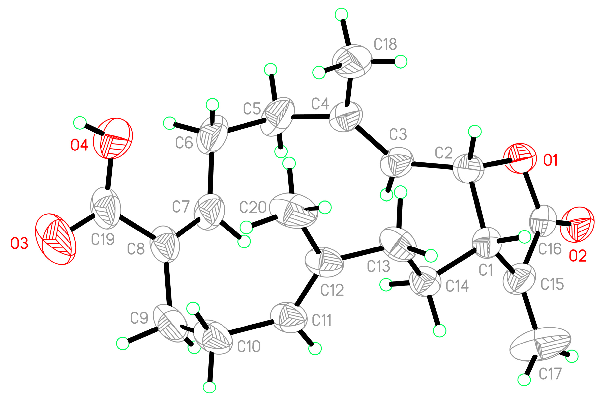 Marinedrugs 19 00130 g005
