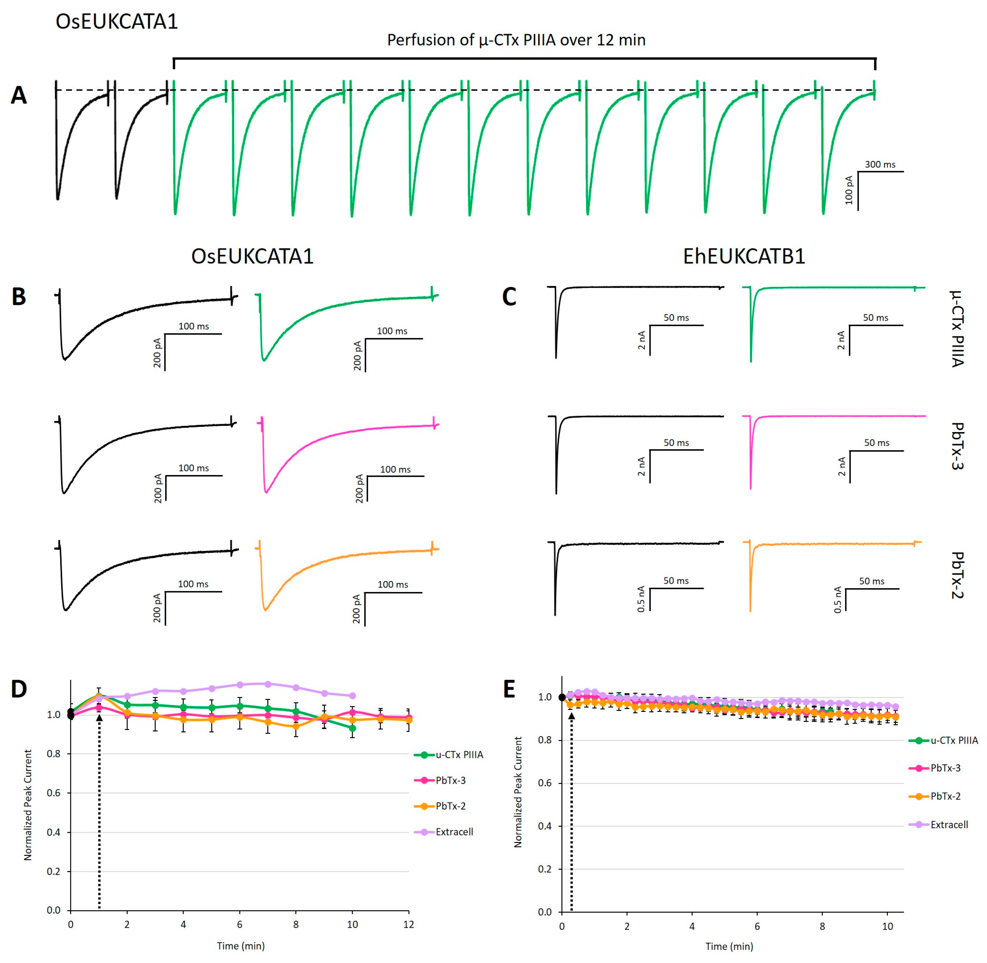 Marinedrugs 19 00140 g002 Marinedrugs 19 00140 g002