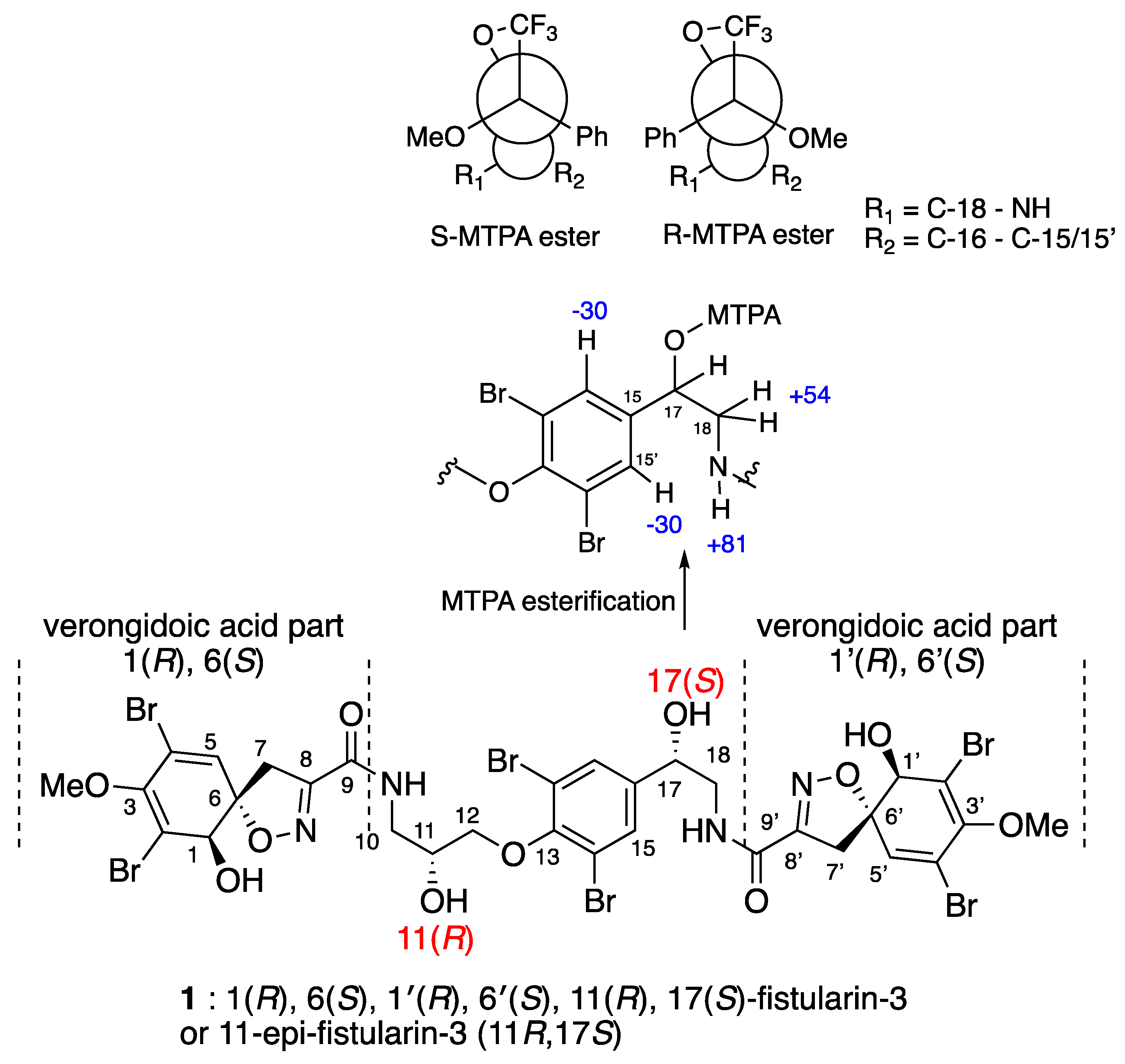 Marinedrugs 19 00143 g002