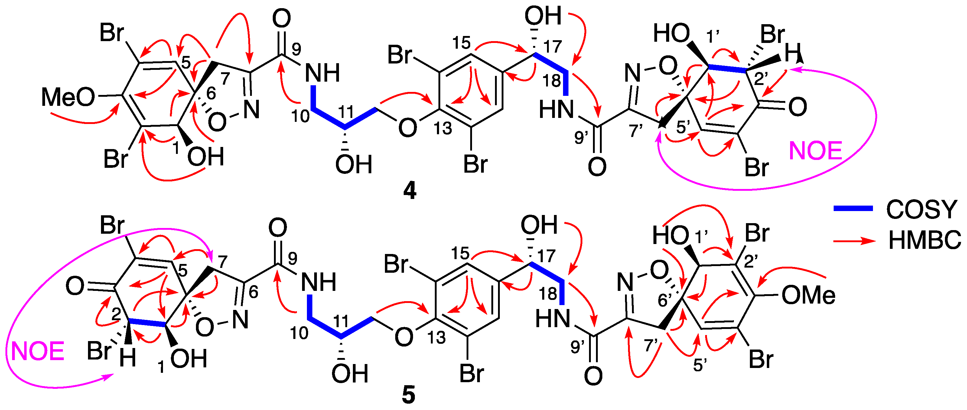Marinedrugs 19 00143 g005