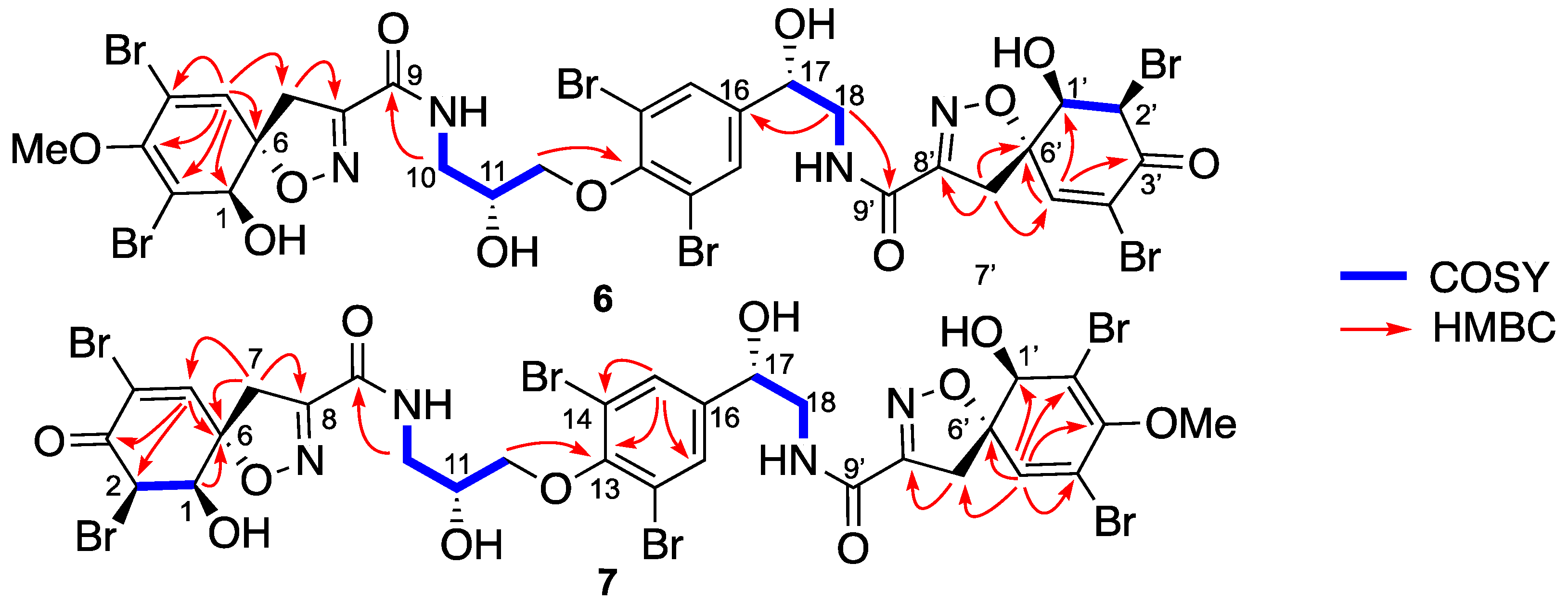 Marinedrugs 19 00143 g006