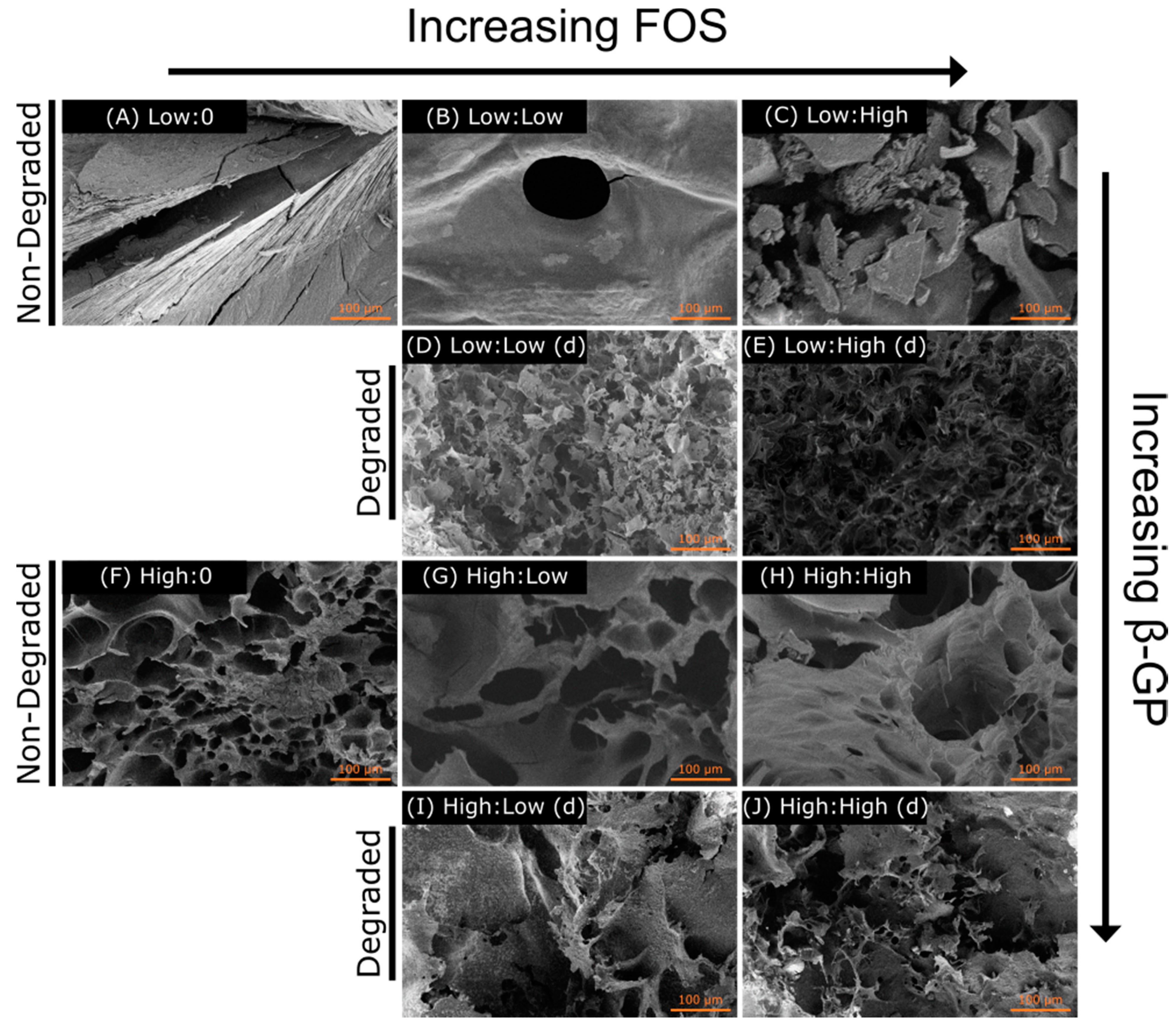 Marinedrugs 19 00144 g005 Marinedrugs 19 00144 g005