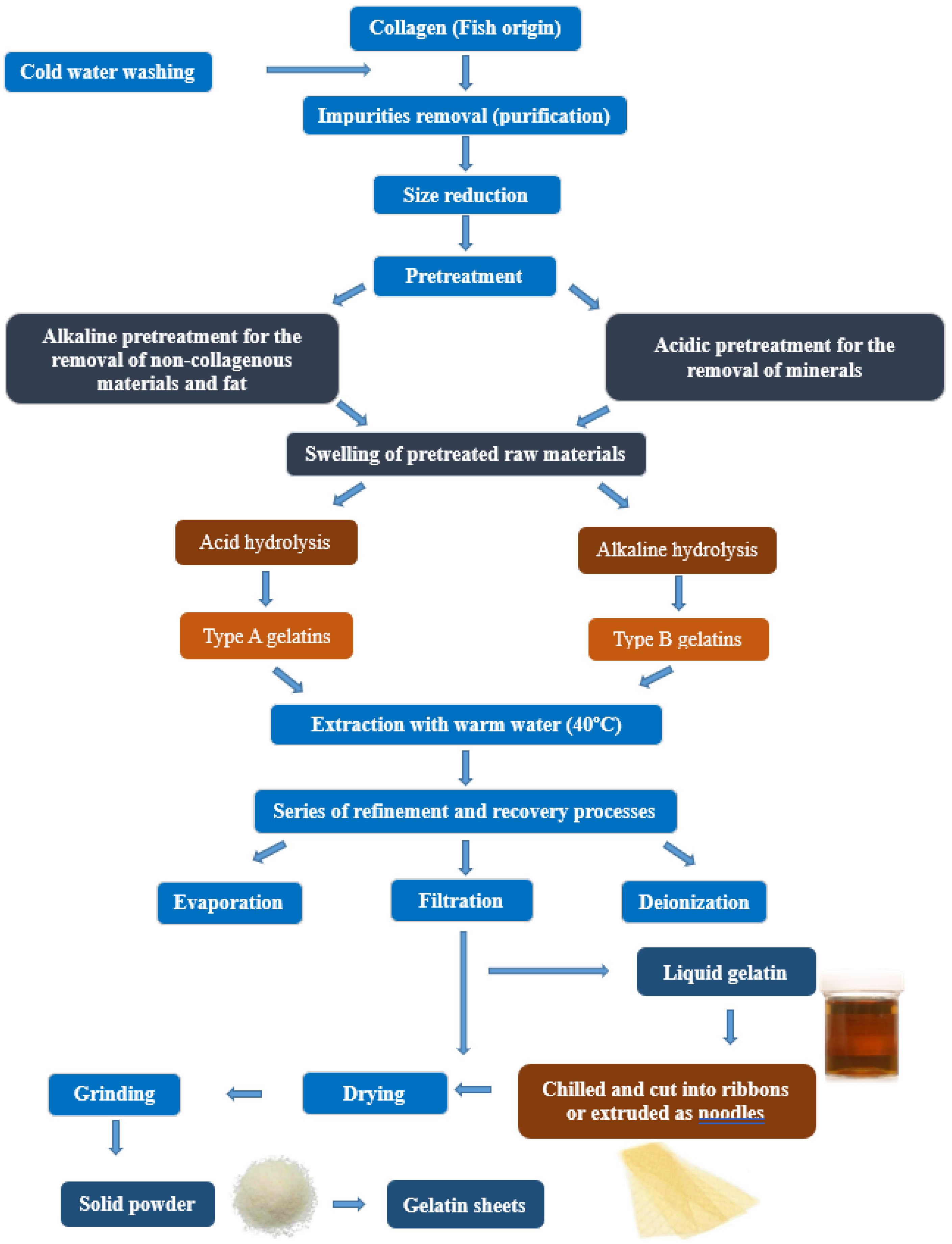 Marinedrugs 19 00145 g001