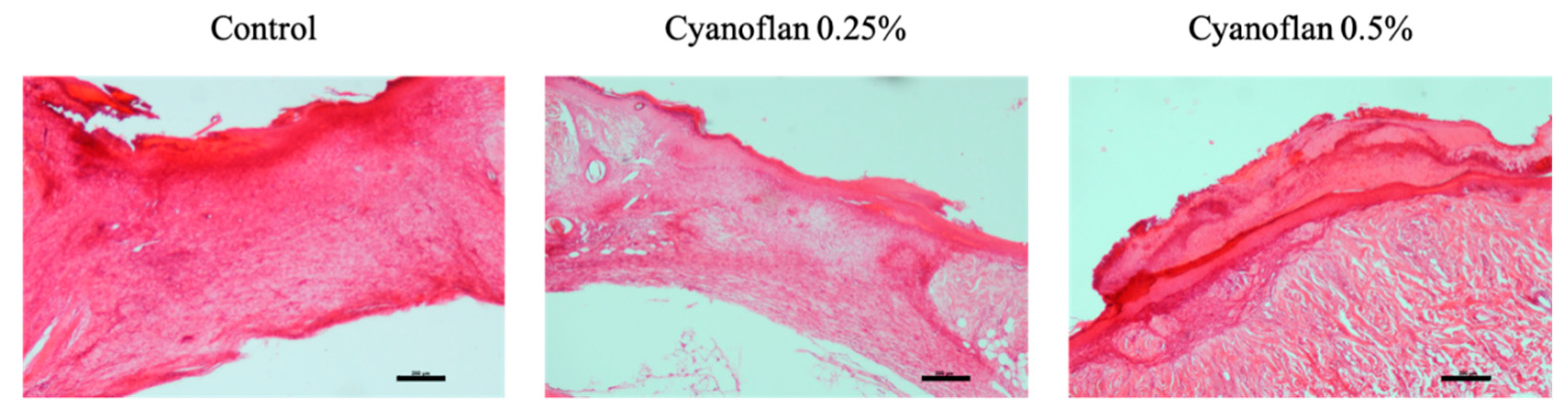 Marinedrugs 19 00147 g005