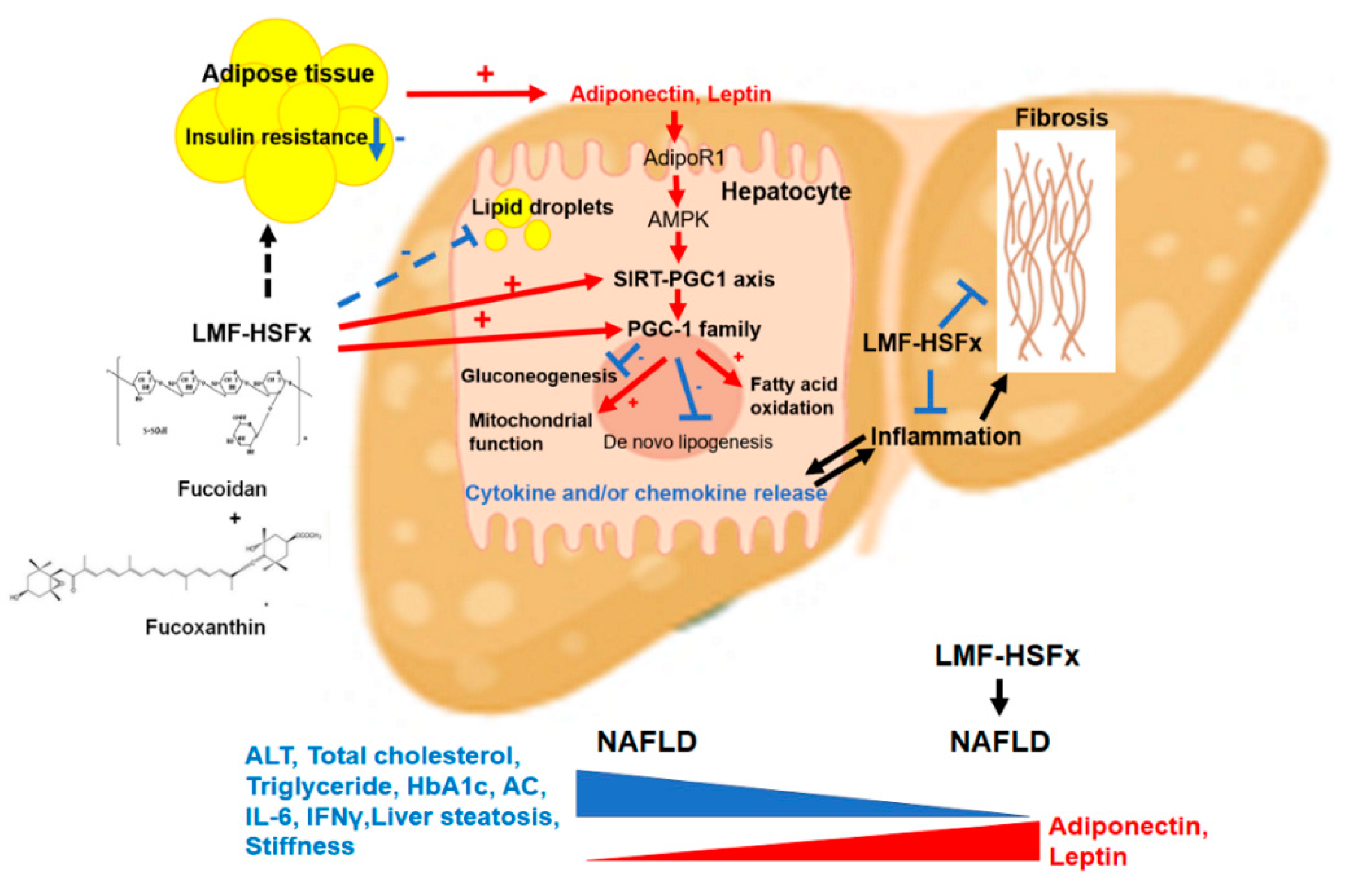 Marinedrugs 19 00148 g009