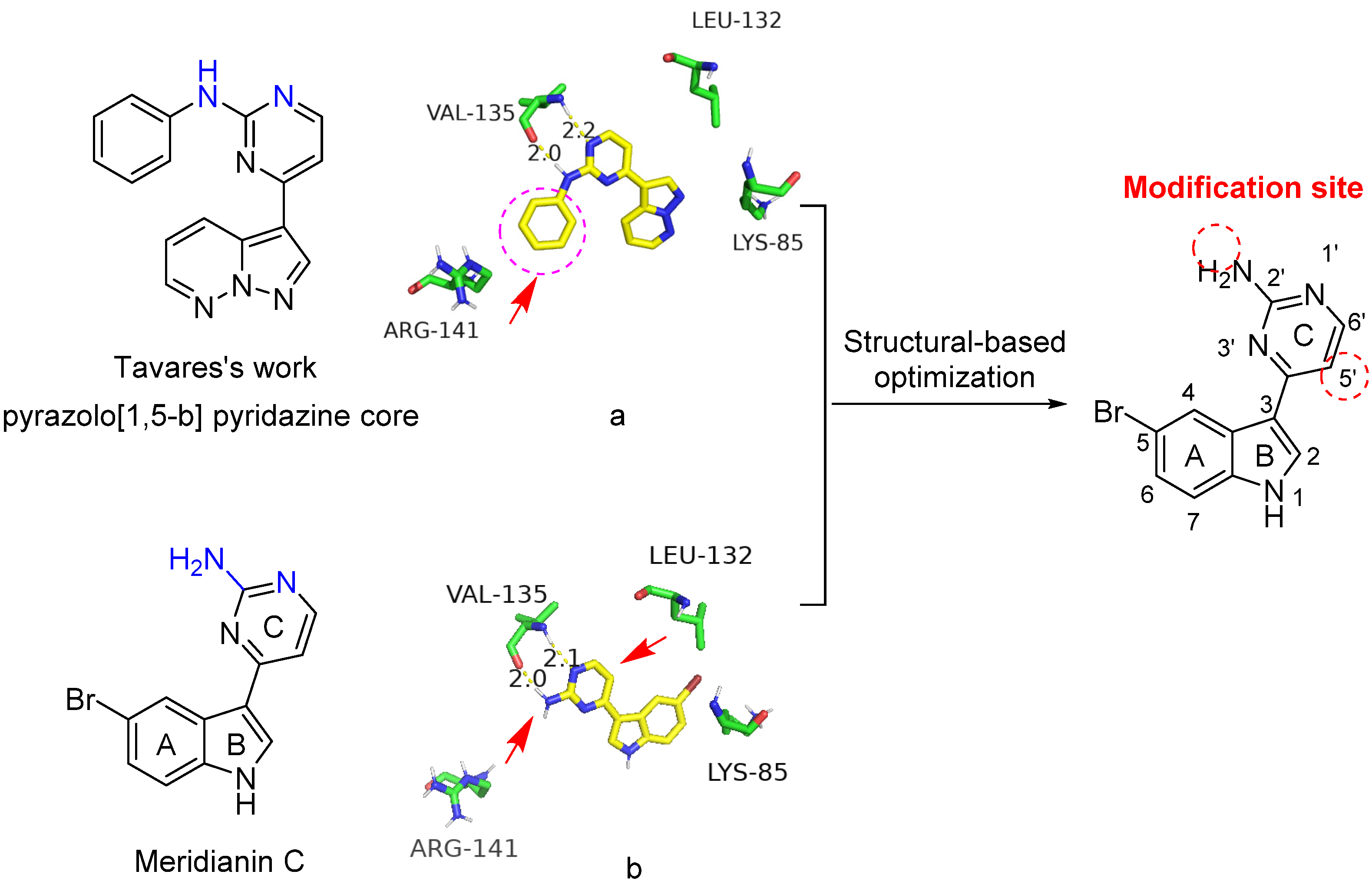 Marinedrugs 19 00149 g002 Marinedrugs 19 00149 g002