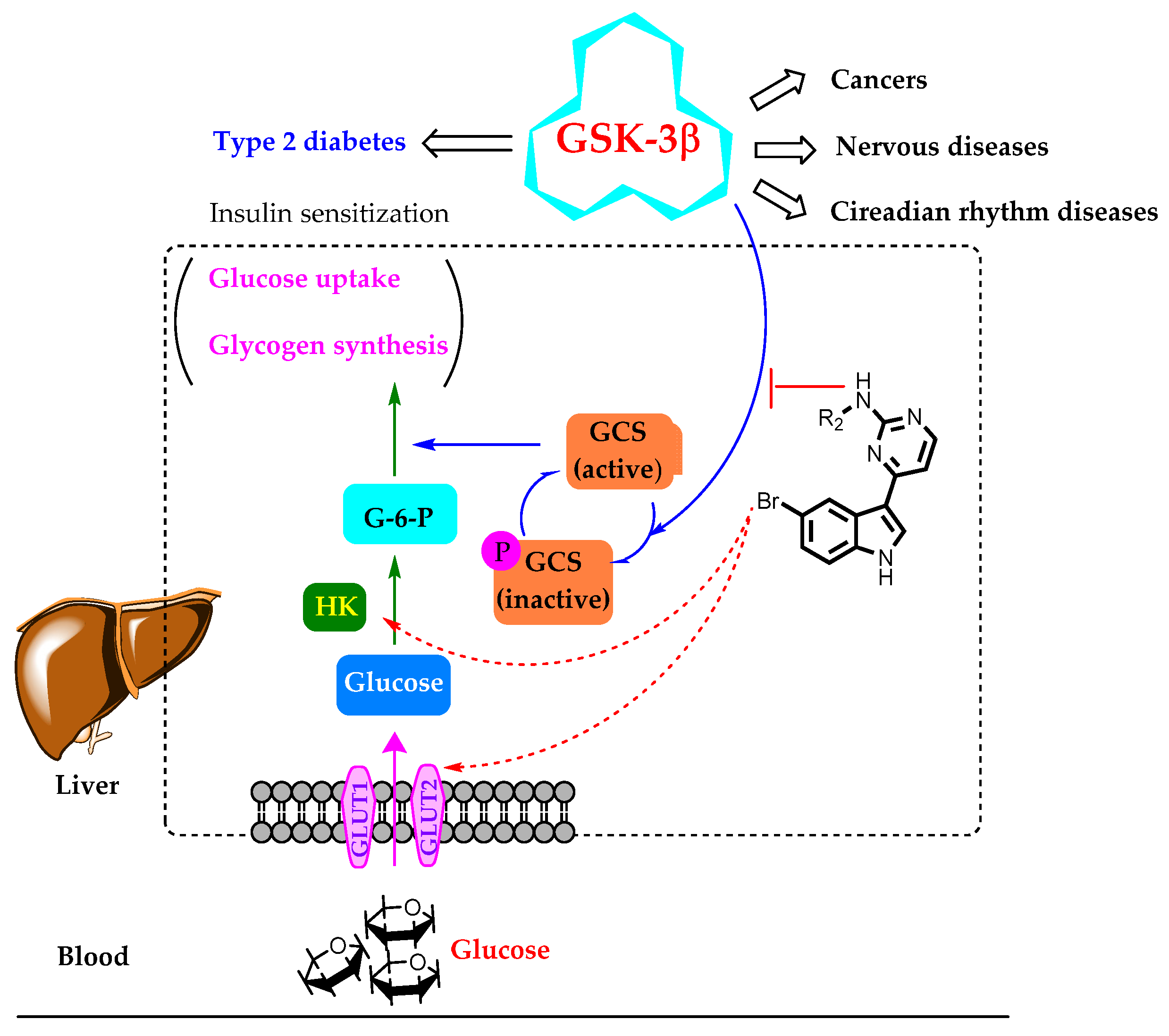 Marinedrugs 19 00149 g003 Marinedrugs 19 00149 g003