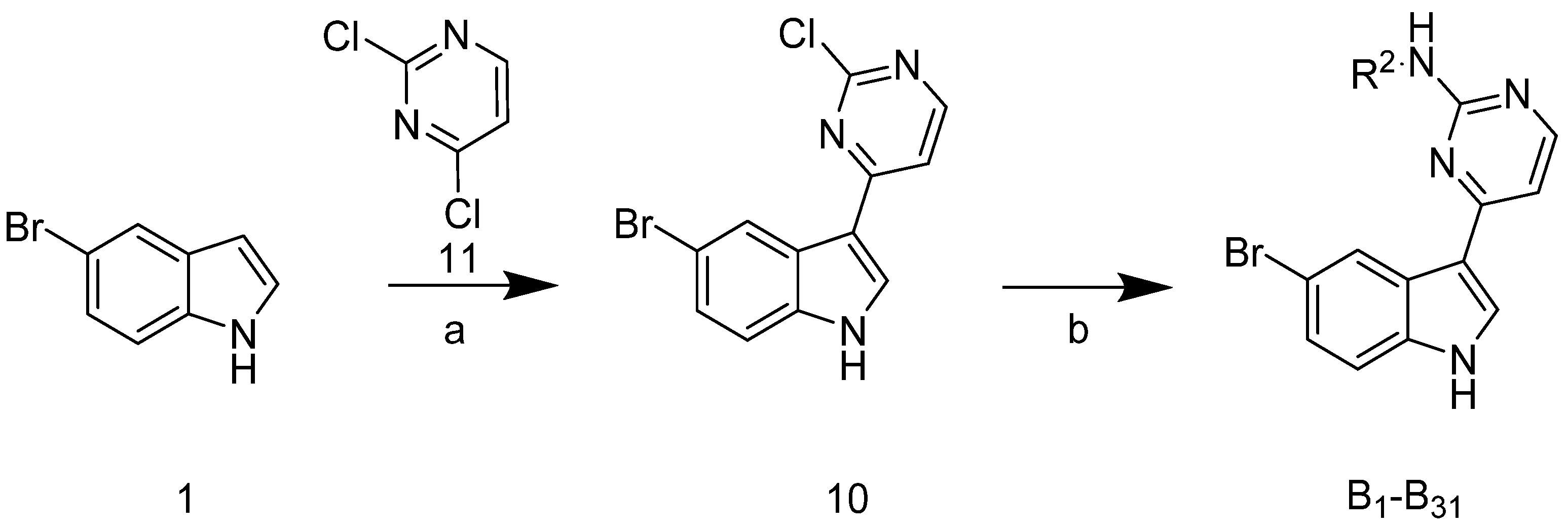 Marinedrugs 19 00149 sch002 Marinedrugs 19 00149 sch002