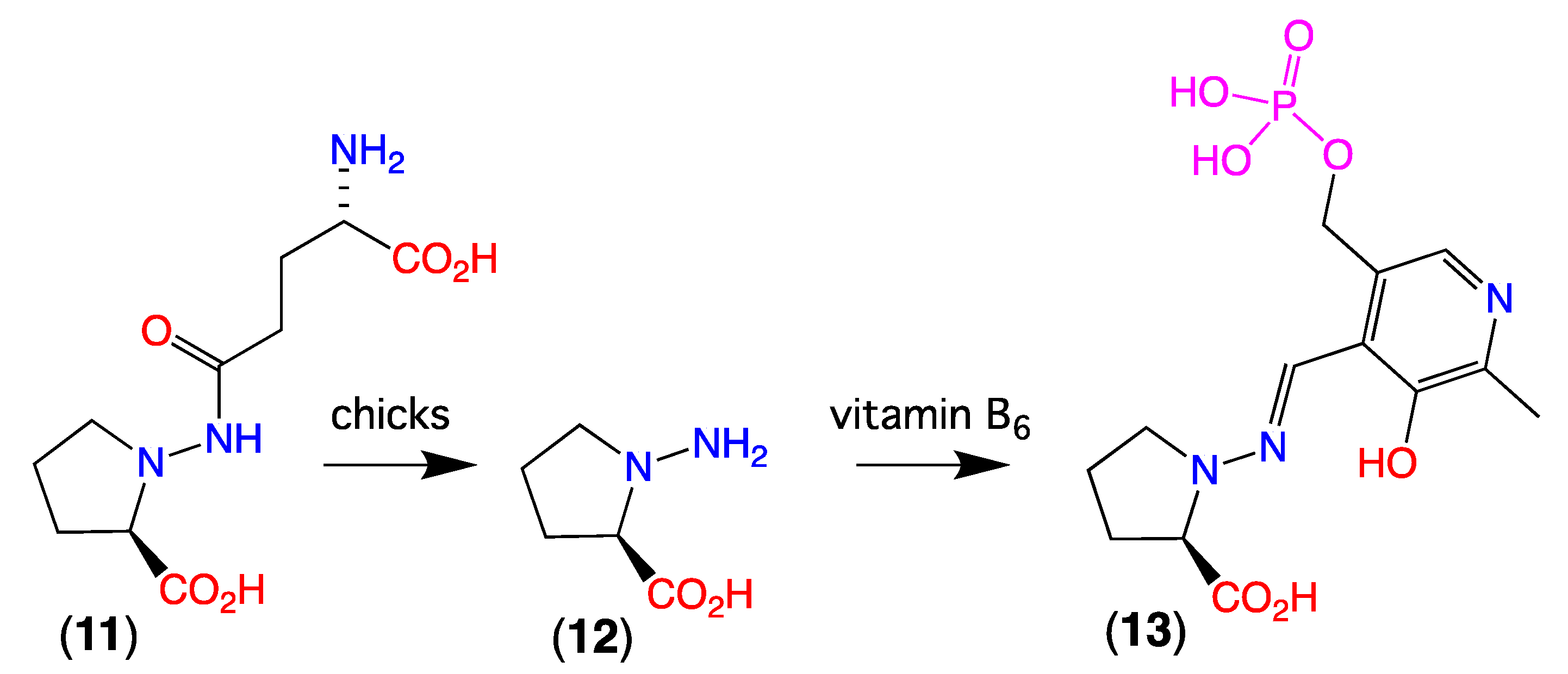 Marinedrugs 19 00151 g010