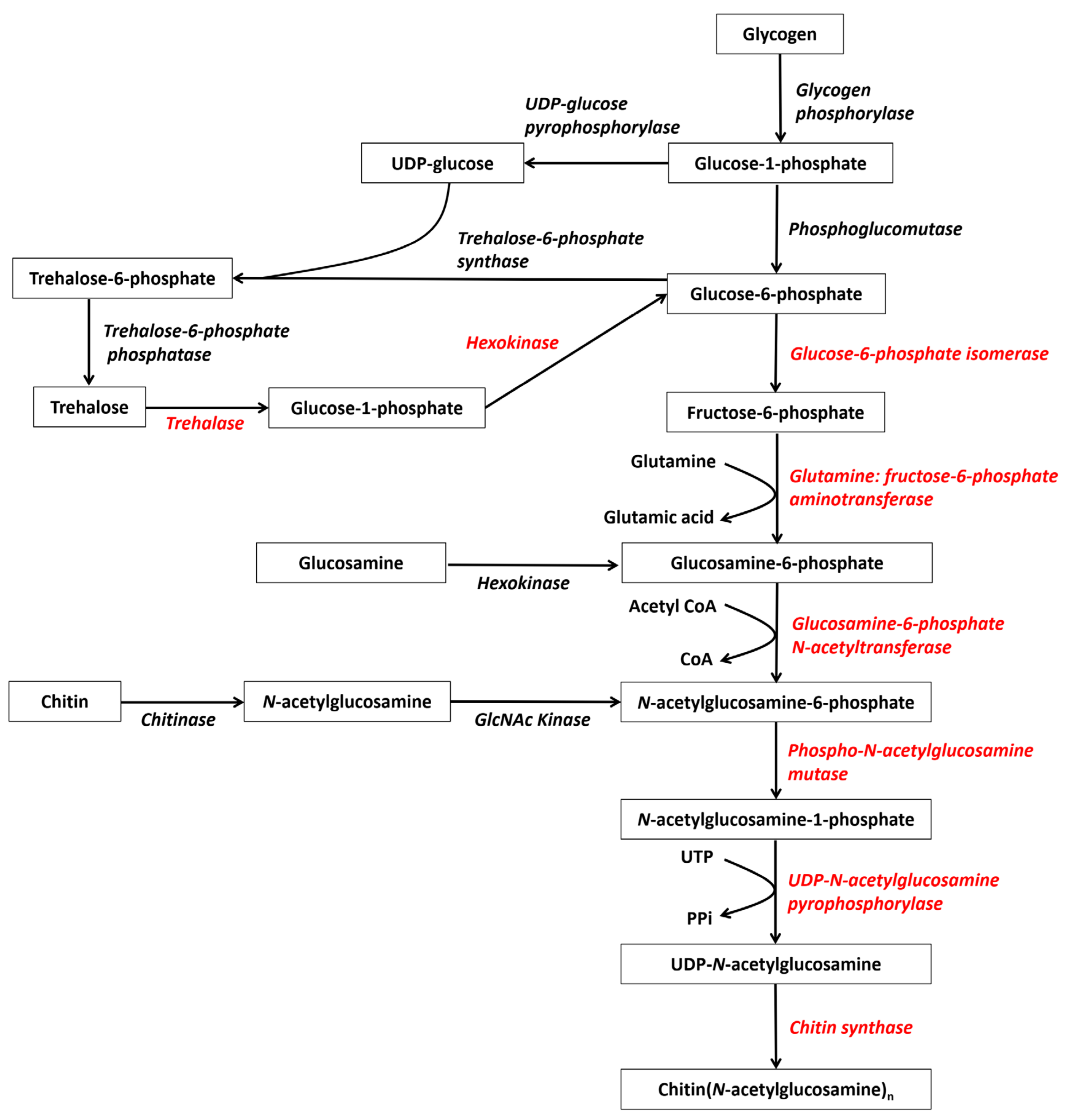 Marinedrugs 19 00153 g001