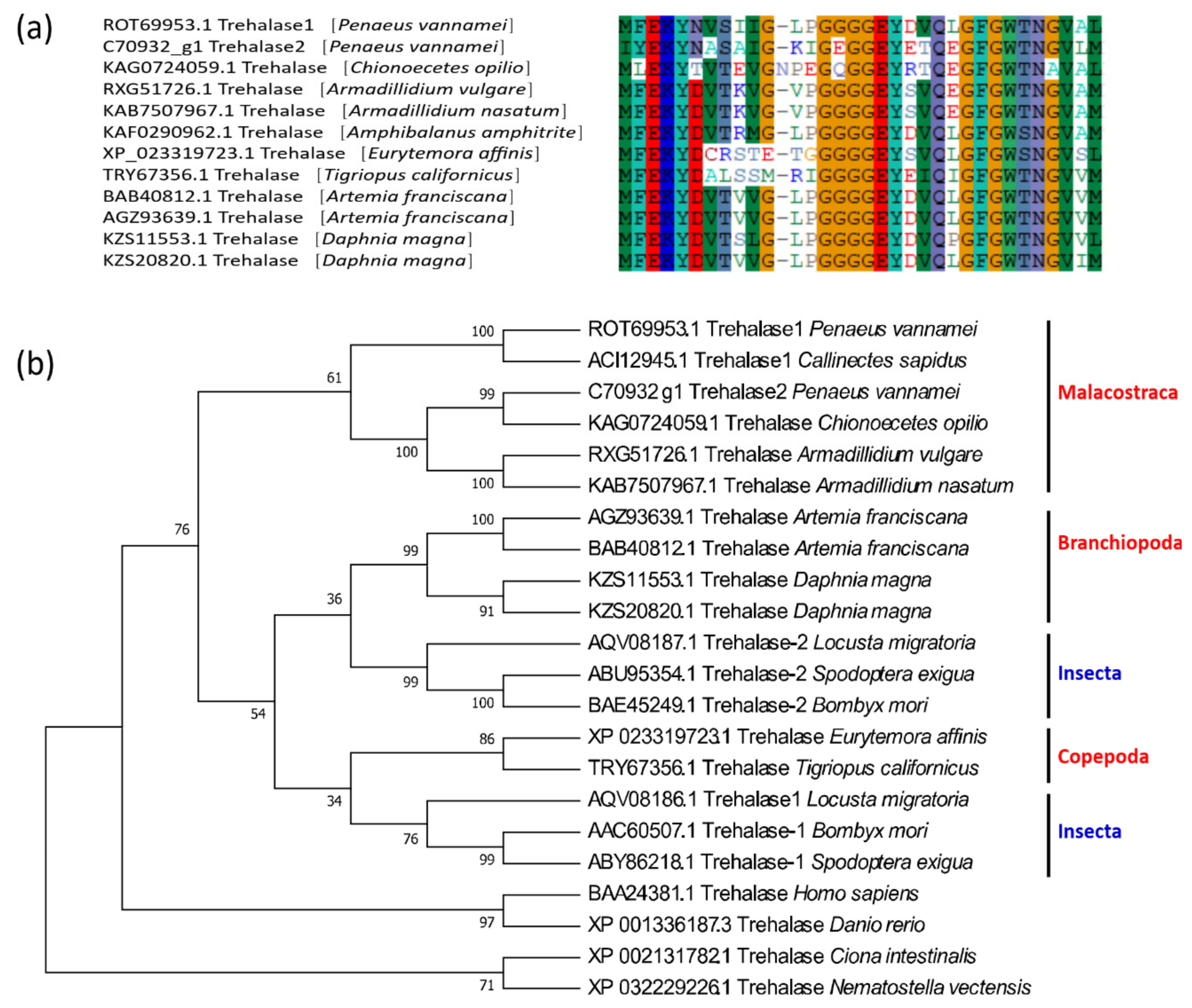 Marinedrugs 19 00153 g002
